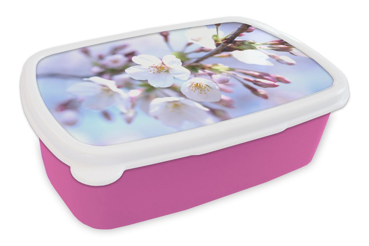Lunchbox Erwachsene, Mädchen, rosa - für Brotbox Kunststoff Sakura MuchoWow - Zweig, Blumen Snackbox, Brotdose (2-tlg), Kinder, Kunststoff,