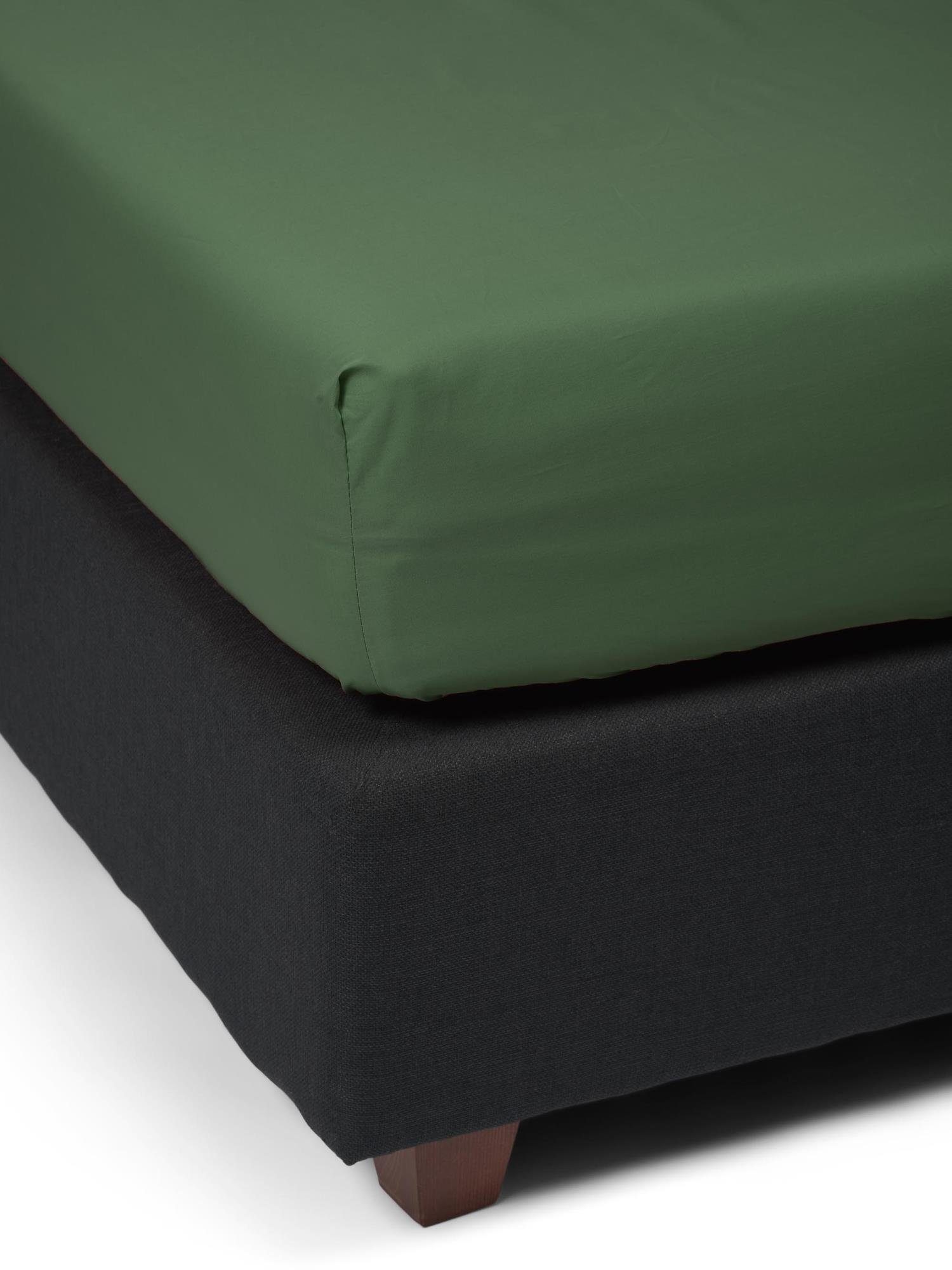 Essenza Spannbettlaken Premium Percale, Perkal, Gummizug: rundum, (1 Stück), Uni Baumwollperkal