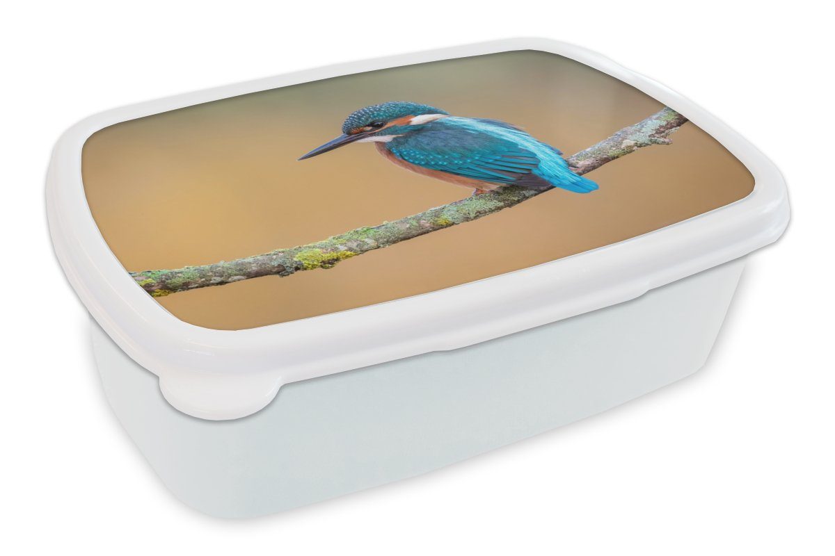 MuchoWow Lunchbox Vogel - Eisvogel - Tiere - Zweig, Kunststoff, (2-tlg), Brotbox für Kinder und Erwachsene, Brotdose, für Jungs und Mädchen weiß