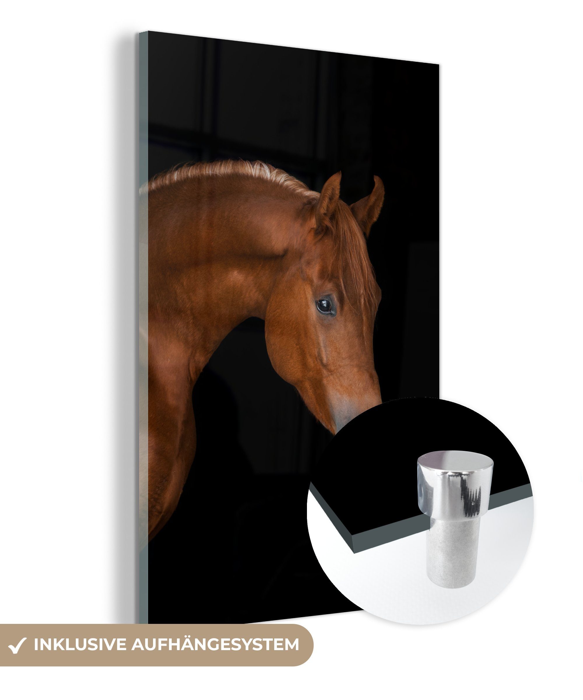 Pferd MuchoWow Tier, - Glas Foto auf Wanddekoration - (1 auf Bilder Wandbild St), Schwarz Acrylglasbild Glasbilder Glas - - -