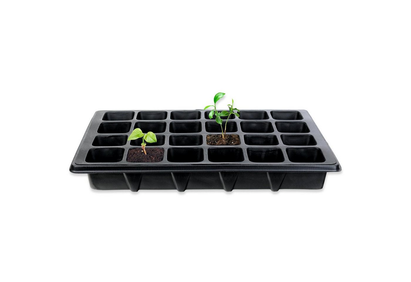 Thumbnail - Schramm Frühbeet Schramm® Anzucht Set Gewächshaus Anzucht Schale Töpfe Zimmergewächshaus 38,5 x 24 x 6 cm für 24 Anzucht...