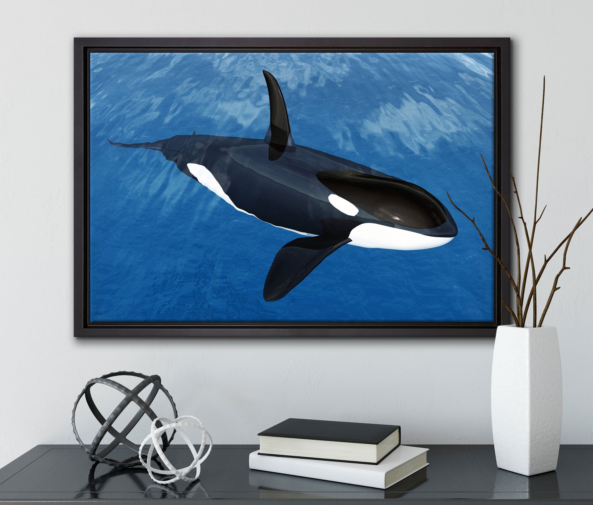 (1 Leinwandbild blauen Leinwandbild inkl. fertig Meer, im Pixxprint bespannt, Wanddekoration Zackenaufhänger einem Orca gefasst, in Schattenfugen-Bilderrahmen St),