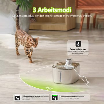 DOPWii Trinkbrunnen 4L Edelstahl Katzentränke, kabellose Ultra Silent Haustiertränke, für Hunde und Katzen mit Bewegungssensor und 2 Filtern