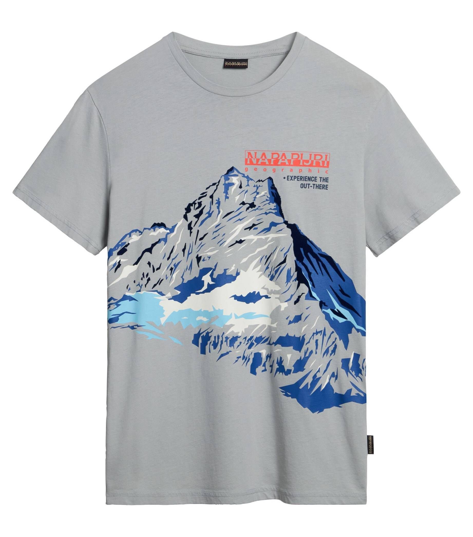Napapijri T-Shirt Herren T-Shirt S-FORSTERI (1-tlg)