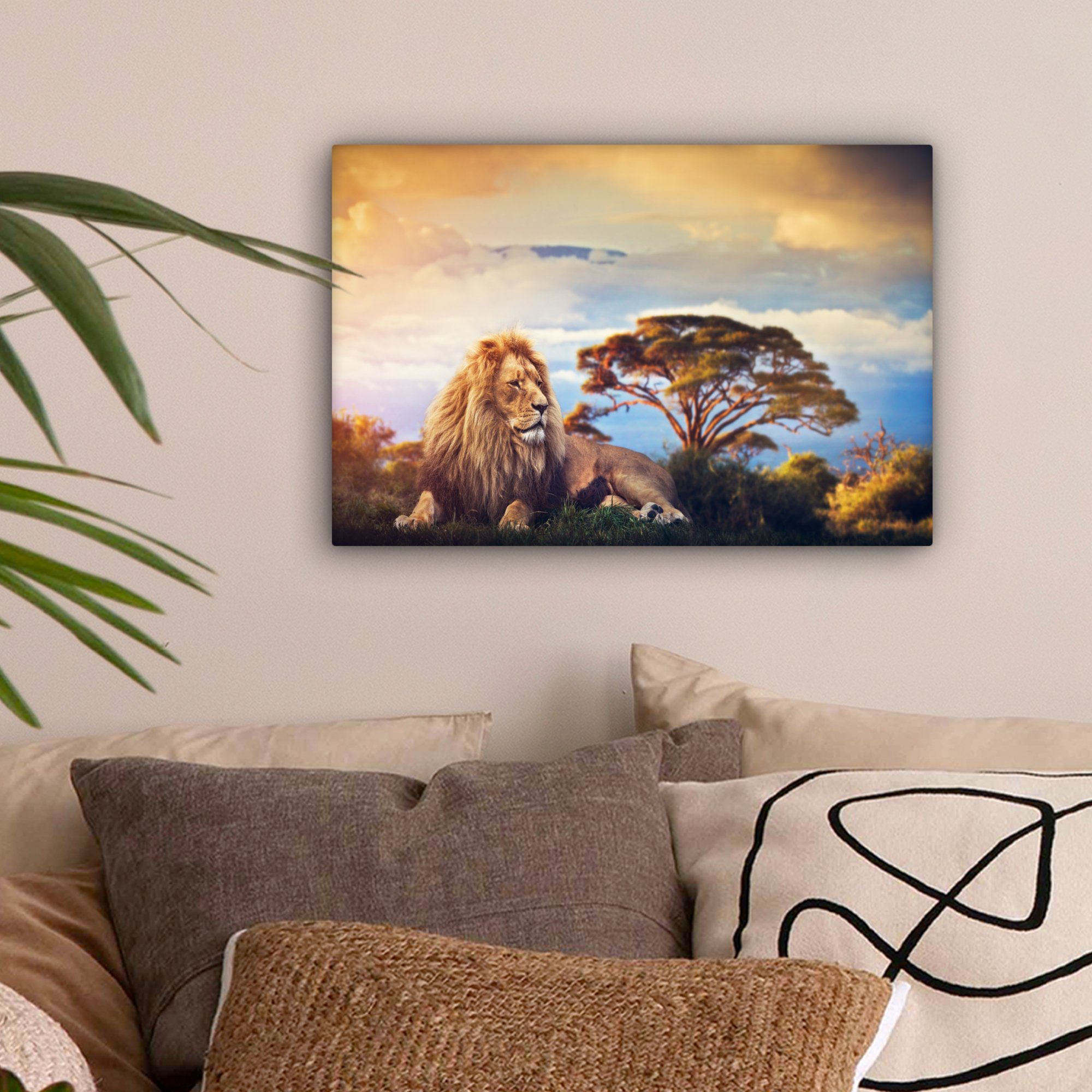 OneMillionCanvasses® Leinwandbild Löwe - Kunstdrucke - günstig online kaufen