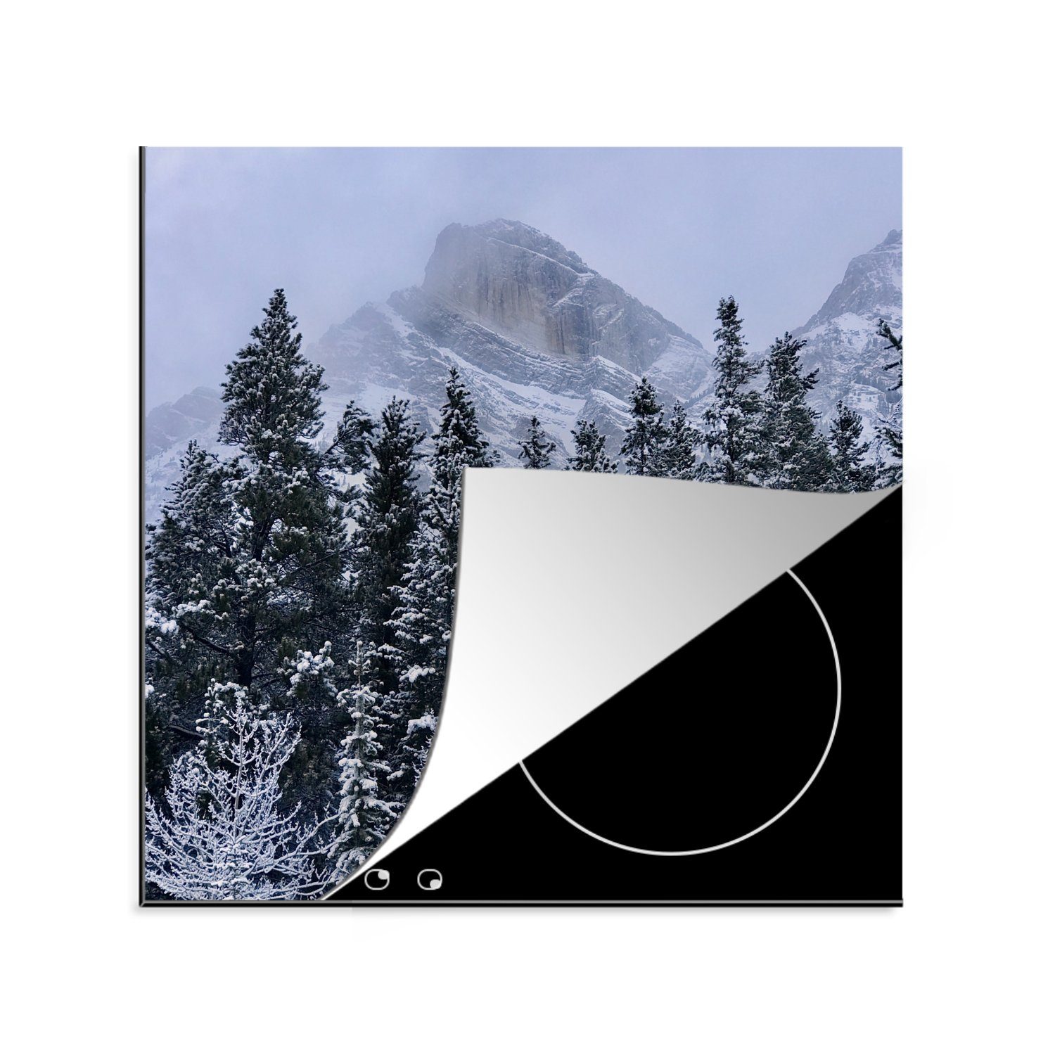 MuchoWow Herdblende-/Abdeckplatte Tal mit dem nordamerikanischen Mount Wilson, Vinyl, (1 tlg), 78x78 cm, Ceranfeldabdeckung, Arbeitsplatte für küche