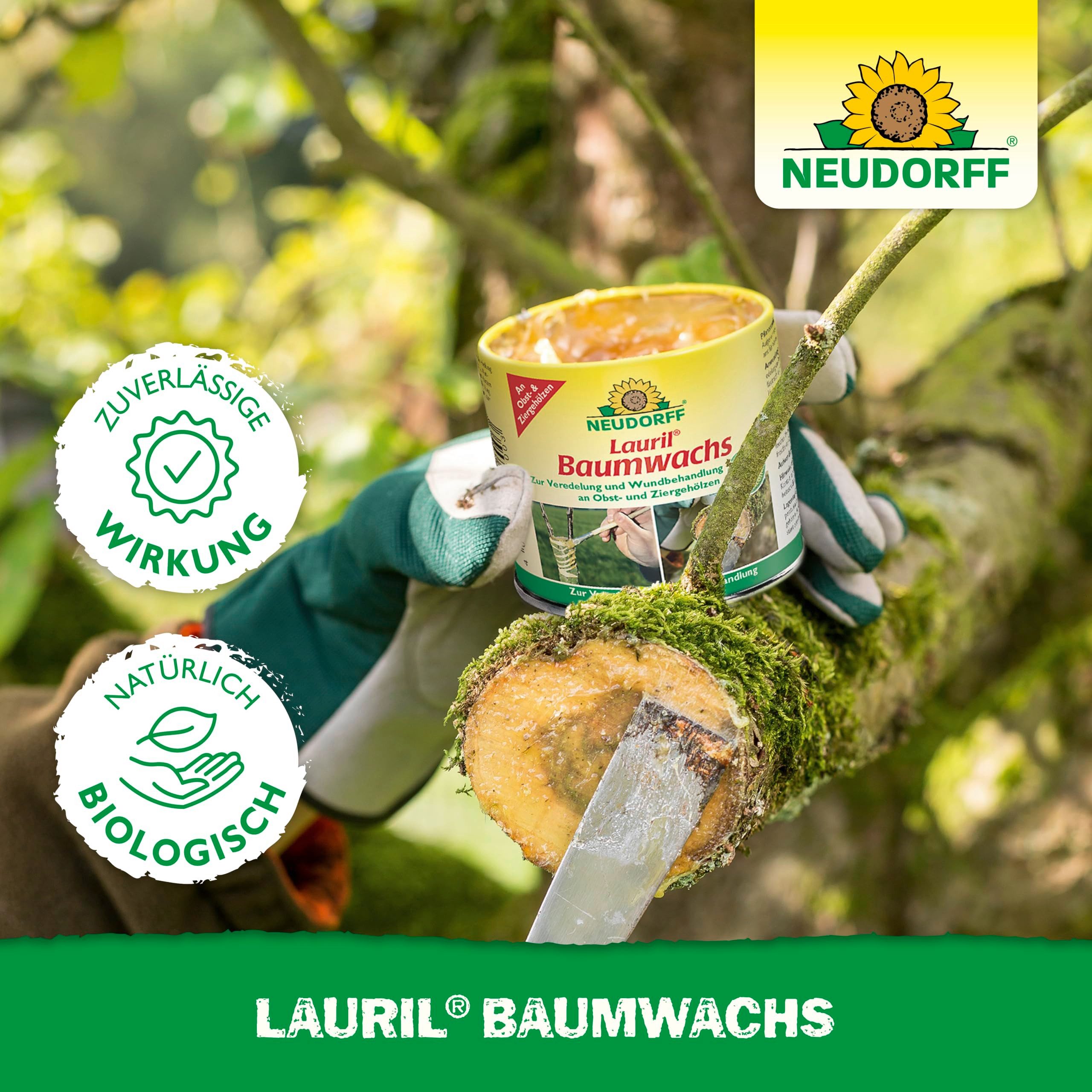 Neudorff Baumwachs Lauril Baumwachs 125 g, 125 g, aus natürlichen Rohstoffen, pflanzenverträglich, trocknet innerhalb von 24 Stunden, zur Veredelung und schnellen Wundheilung von Obst- und Ziergehölzen