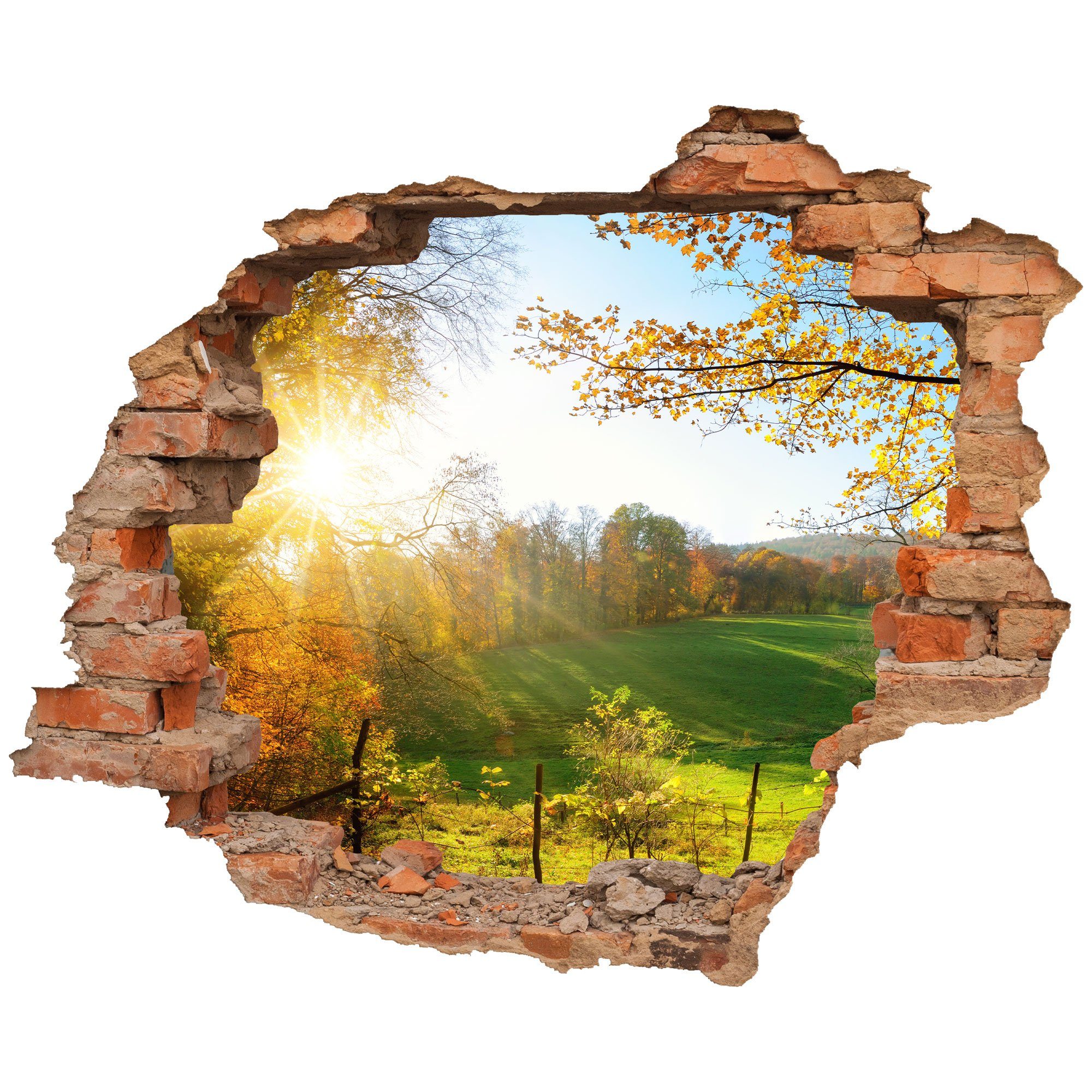 WallSpirit Wandtattoo Wanddurchbruch "Waldlichtung", Selbstklebend, rücksta günstig online kaufen