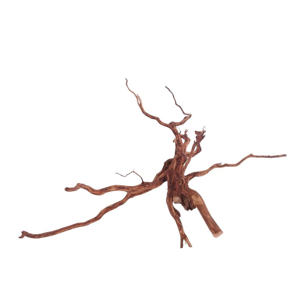 Aquaone Aquarium L Red Spider Wurzel Nr.4610 Fingerwurzel Echtholz Deko Aquascaping