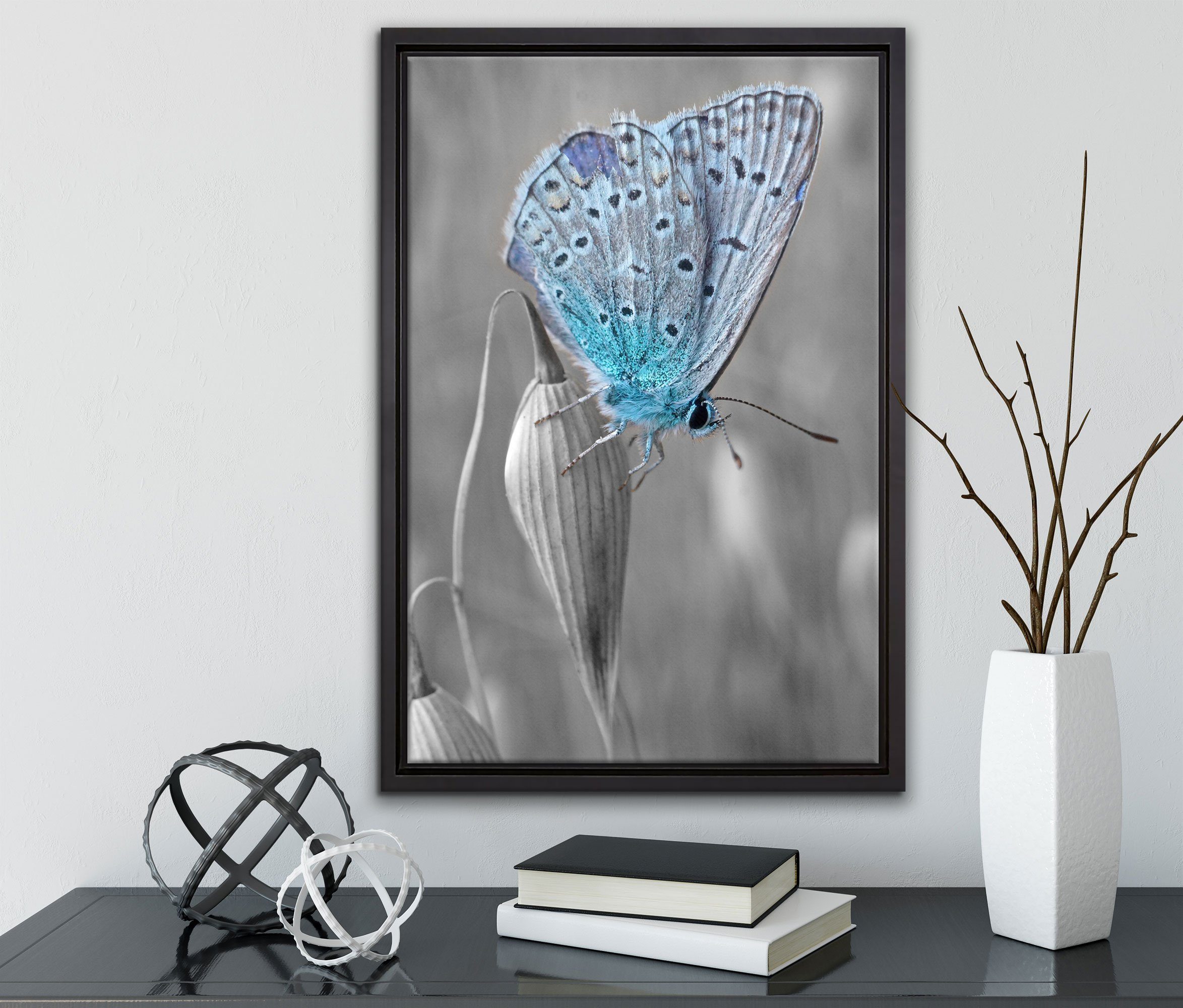 Pixxprint Leinwandbild in (1 St), Wanddekoration inkl. wunderschöner fertig gefasst, bespannt, blauer Schmetterling, Schattenfugen-Bilderrahmen einem Leinwandbild Zackenaufhänger
