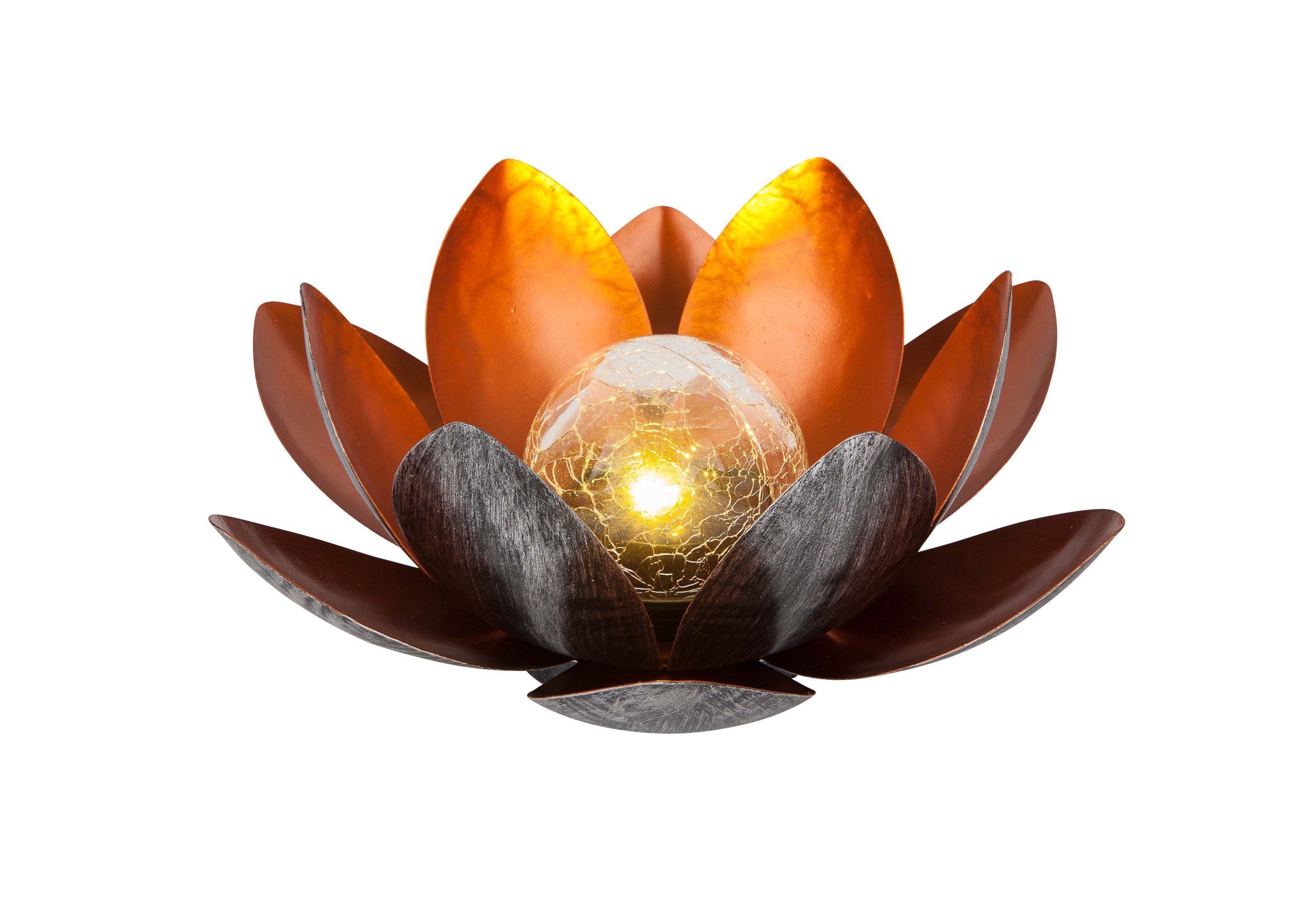 Dehner LED Solarleuchte Solarleuchte Lotus, warmweiß / kaltweiß, Ø 27.5 cm, Höhe 12 cm, Metall, Kaltweiß, Warmweiß, Kunstvolle Deko-Blüte mit Leuchteffekt