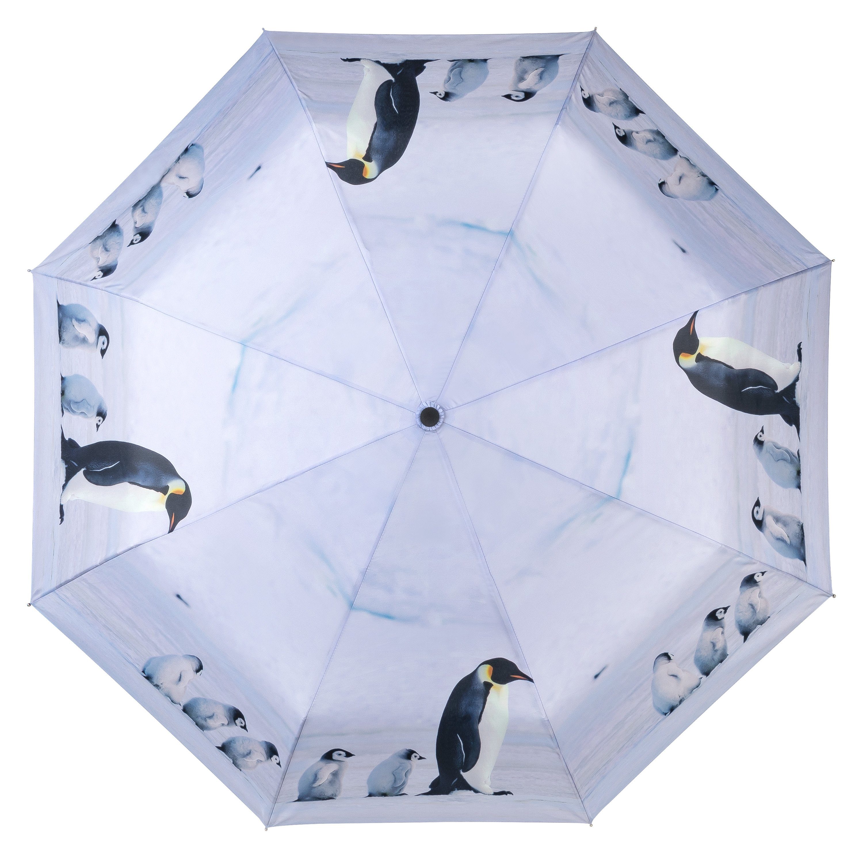 von Lilienfeld Pinguine Auf-Zu-Automatik, Vogel Taschenregenschirm Tiere Tiermotiv Motivschirm Leicht