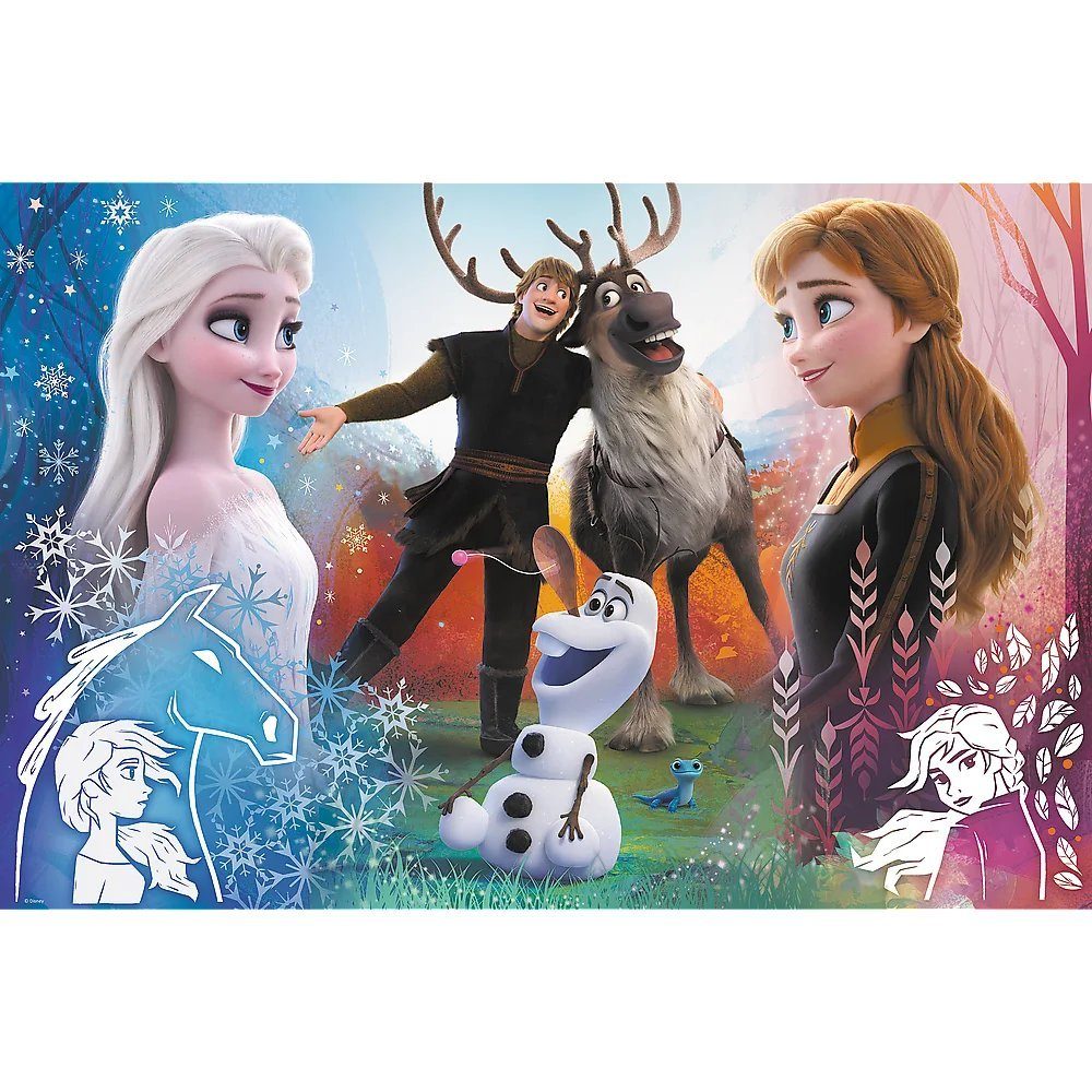 Trefl Puzzle Trefl 23006 Disney in Puzzleteile, Teile Puzzle, 300 Europe Frozen 300 Made