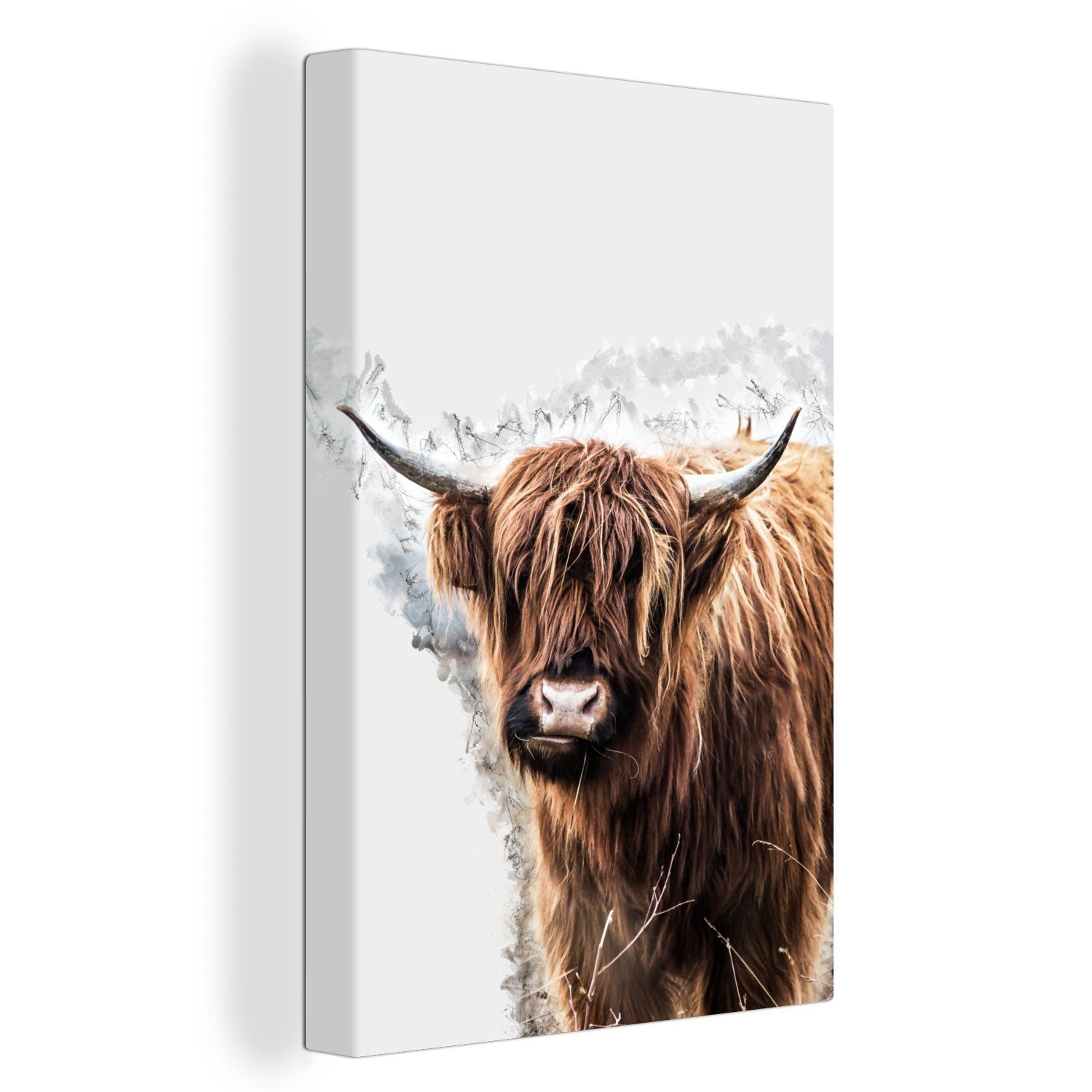 OneMillionCanvasses® Leinwandbild Schottischer Highlander - Kuh - Weiß, (1 St), Leinwandbild fertig bespannt inkl. Zackenaufhänger, Gemälde, 20x30 cm