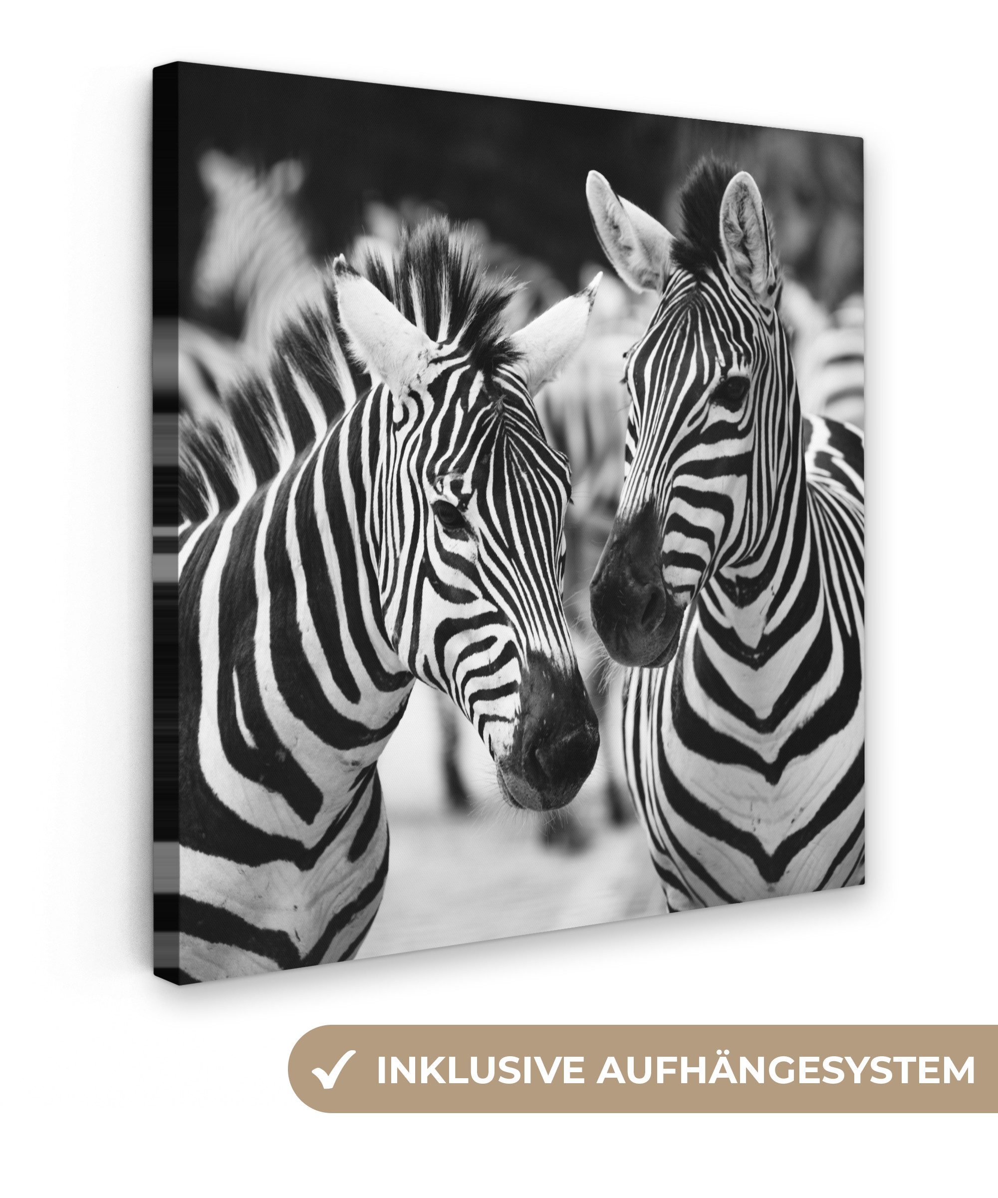 OneMillionCanvasses® Leinwandbild Zebra schwarz und weiß, Fotodruck (1 St), Wandbild, Deko Schlafzimmer Wohnzimmer Flur 20x20 cm