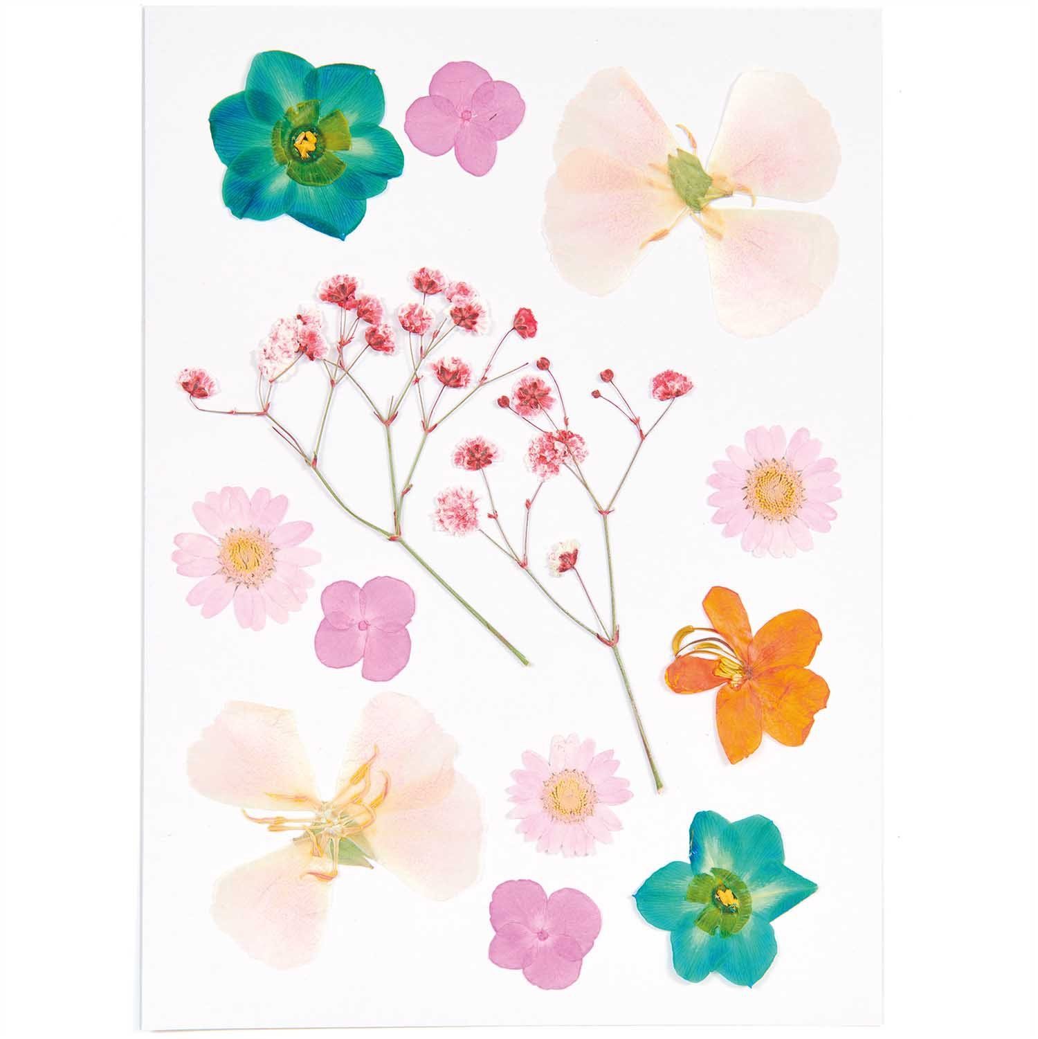 Kunstpflanze gepresste Blüten, Rico-Design Verlag, 13 Stück
