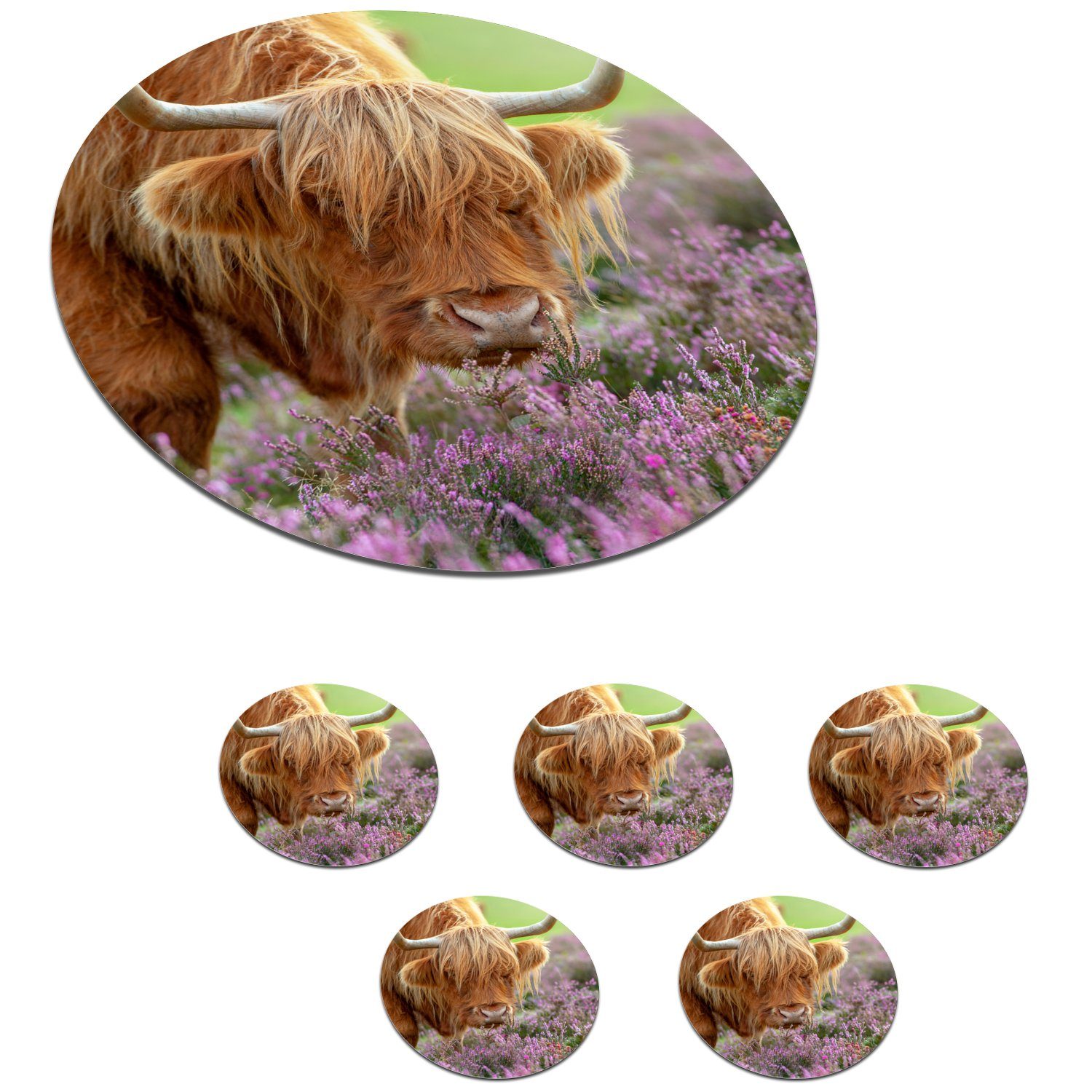 Zubehör Highlander MuchoWow Blumen, - Tassenuntersetzer, Tasse, 6-tlg., Gläser, Schottischer Korkuntersetzer, Getränkeuntersetzer, für Lila Becher - Glasuntersetzer