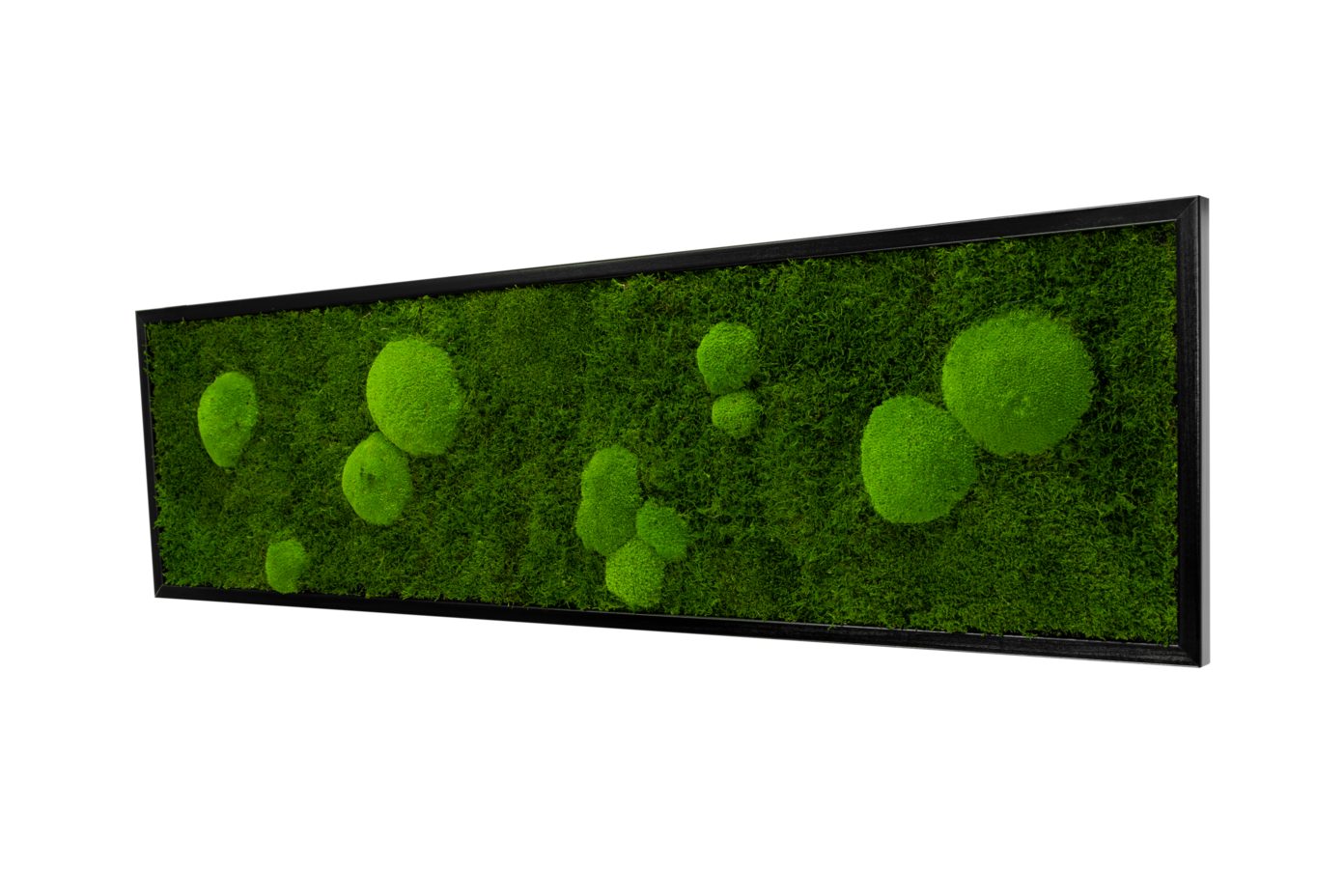 Moos-Design Bilderrahmen Moos Bild Forest Design günstig online kaufen