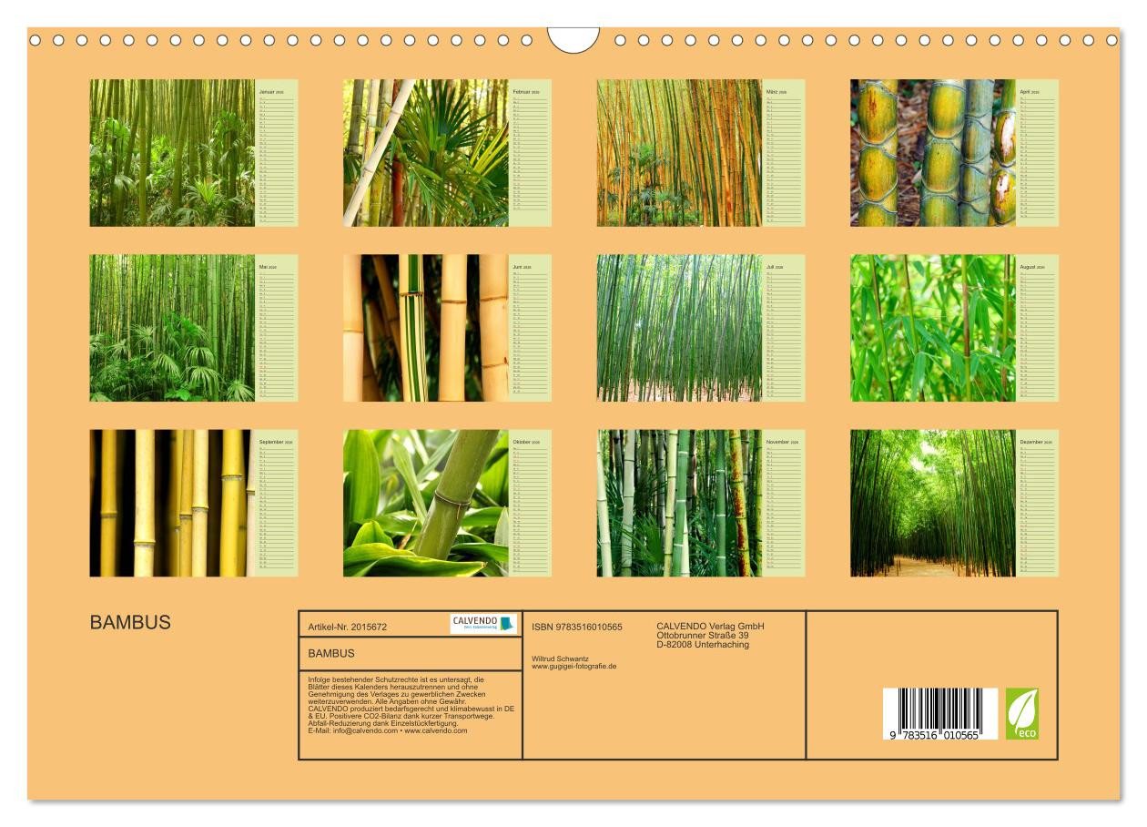 Thumbnail - CALVENDO Wandkalender BAMBUS (Wandkalender 2026 DIN A3 quer), CALVENDO Monatskalender