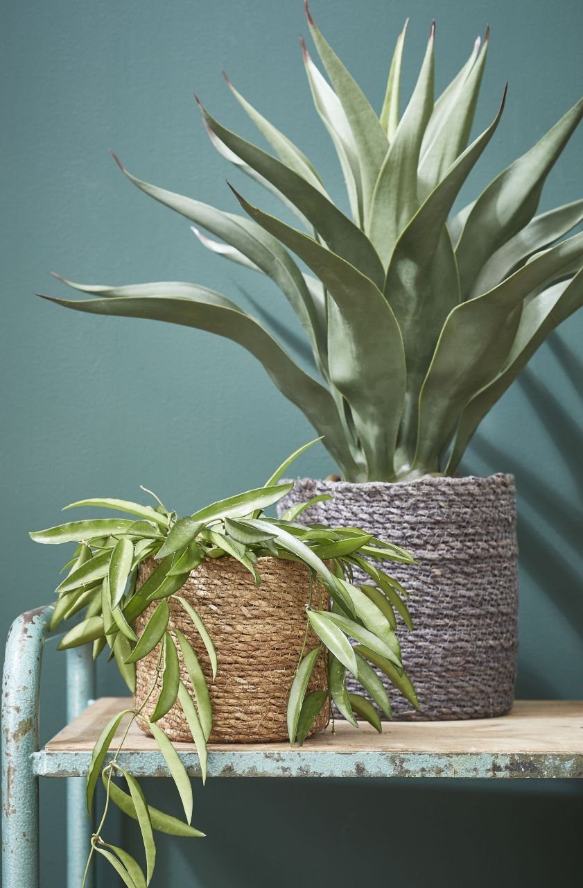 Mica Decorations Blumentopf Mica Dekorationskorb Atlantic hellbraun, 12 x 12