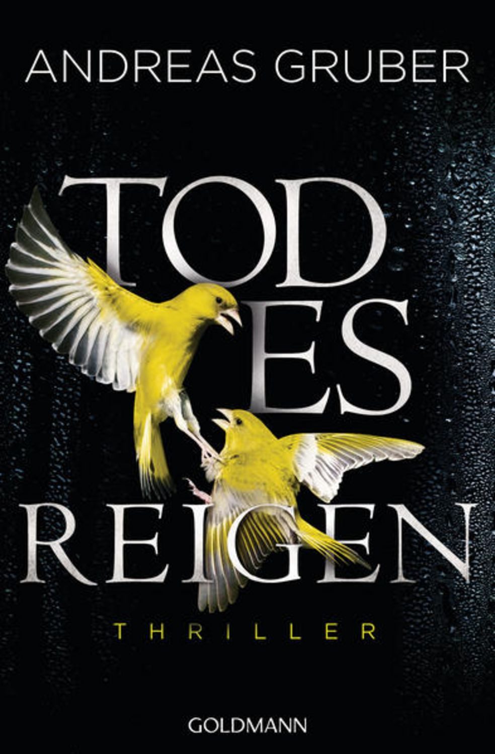 Todesreigen / Maarten S. Sneijder Band 4 / Andreas Gruber