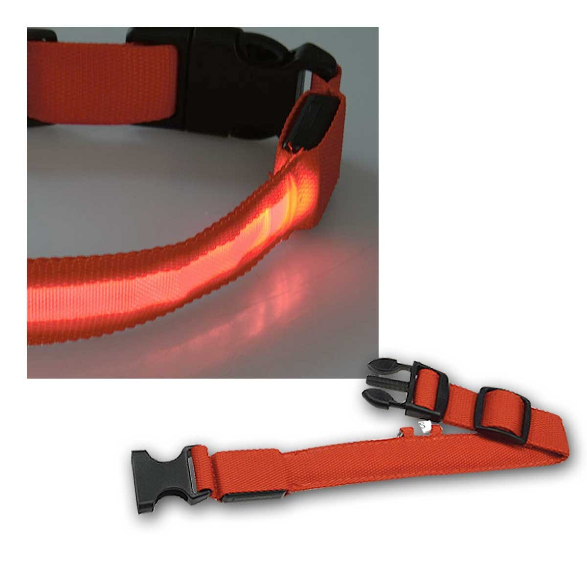 ChiliTec Hundehalsbandleuchte LED Hunde-Halsband 28-35cm, Größe S, rot
