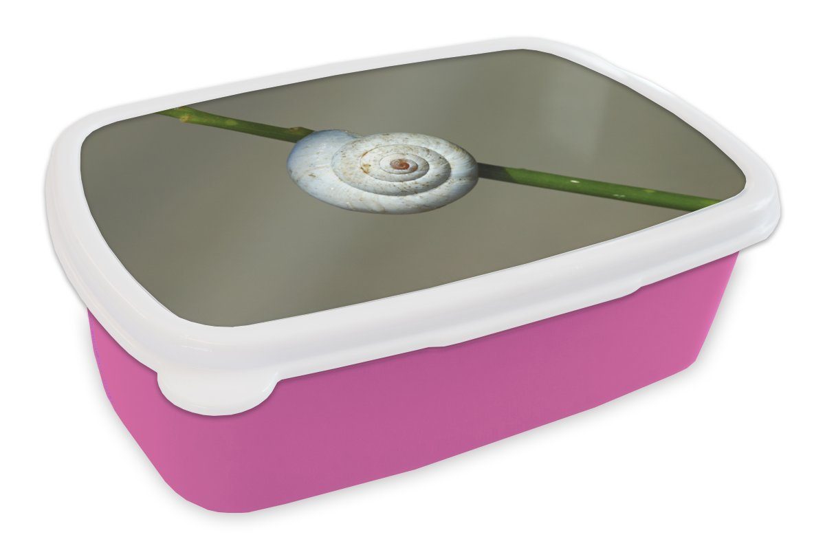 MuchoWow Lunchbox Weißes Schneckenhaus auf einem Stiel, Kunststoff, (2-tlg), Brotbox für Erwachsene, Brotdose Kinder, Snackbox, Mädchen, Kunststoff rosa