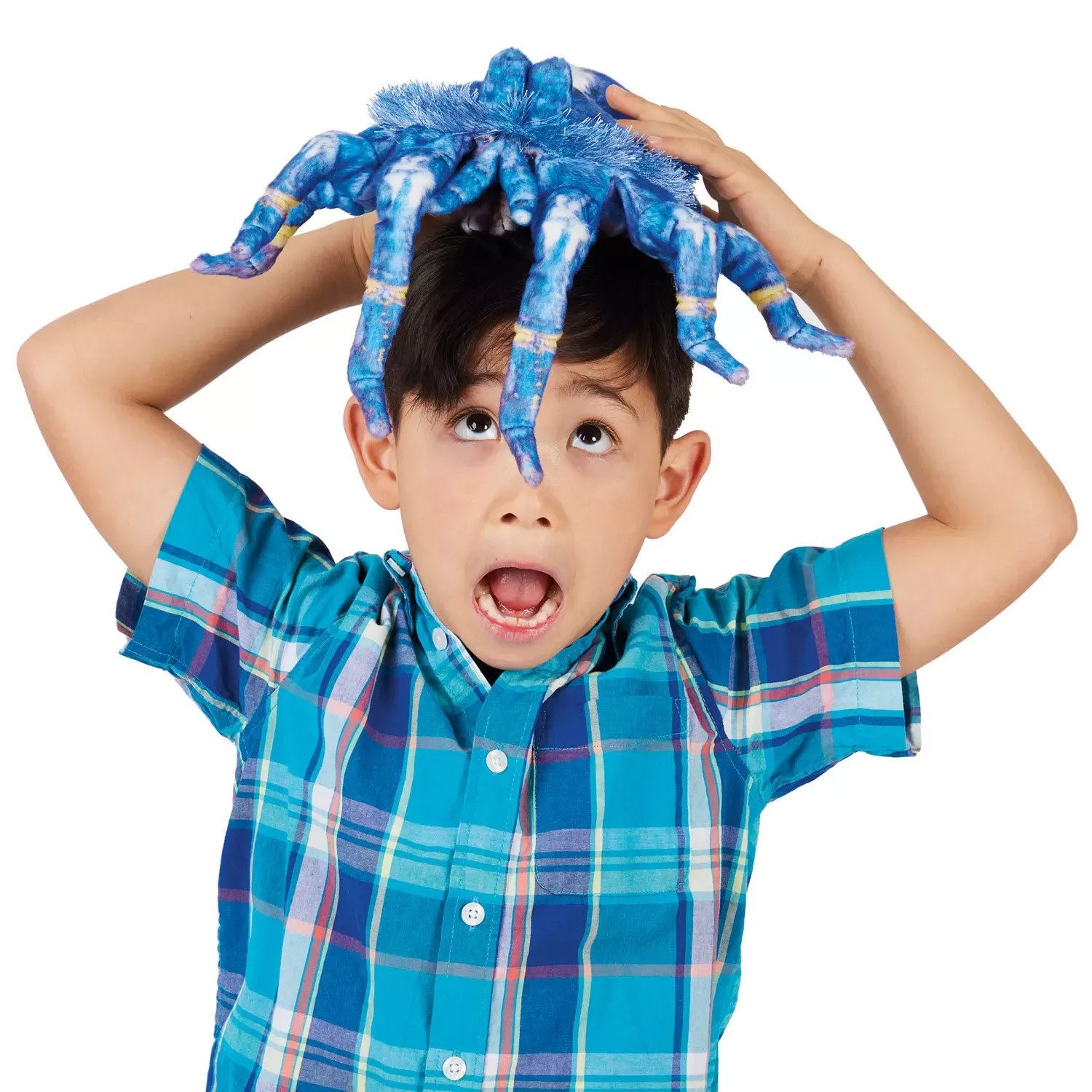Folkmanis Handpuppen Handpuppe Folkmanis Handpuppe Blaue Vogelspinne / Blue Tarantula 3222 (Packung)