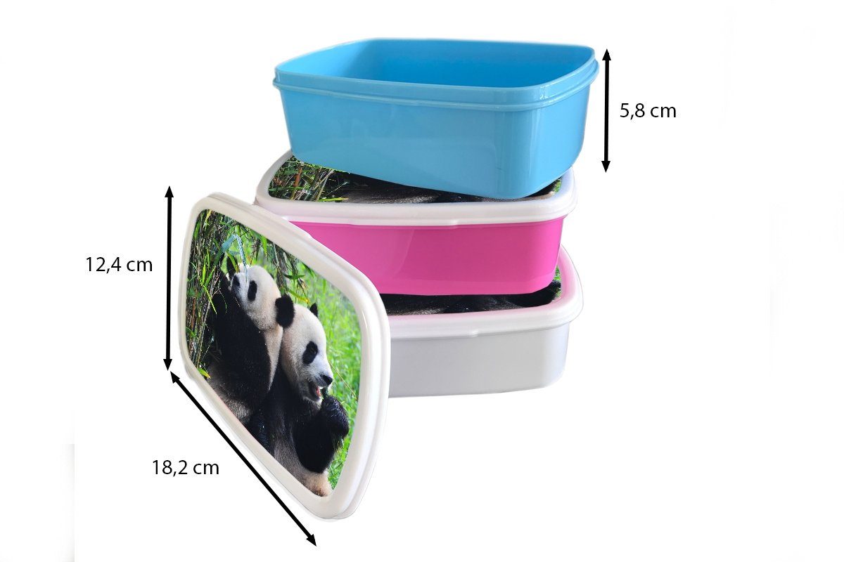 - Brotbox für Mädchen weiß und Lunchbox und Bambus Panda (2-tlg), Jungs für Kinder Erwachsene, Kunststoff, MuchoWow Natur, Brotdose, -