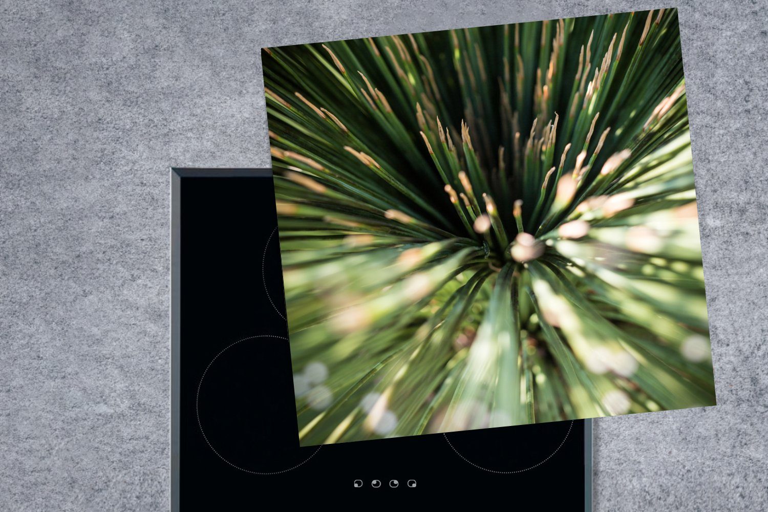 Abstrakt MuchoWow Arbeitsplatte tlg), - Kaktus Vinyl, 78x78 cm, (1 Pflanze, küche - Herdblende-/Abdeckplatte für Ceranfeldabdeckung,