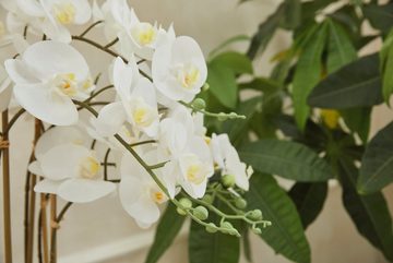 Kunstorchidee Couturier Orchidee, Guido Maria Kretschmer Home&Living, Höhe 70 cm, Kunstpflanze, im Topf, Keramikschale
