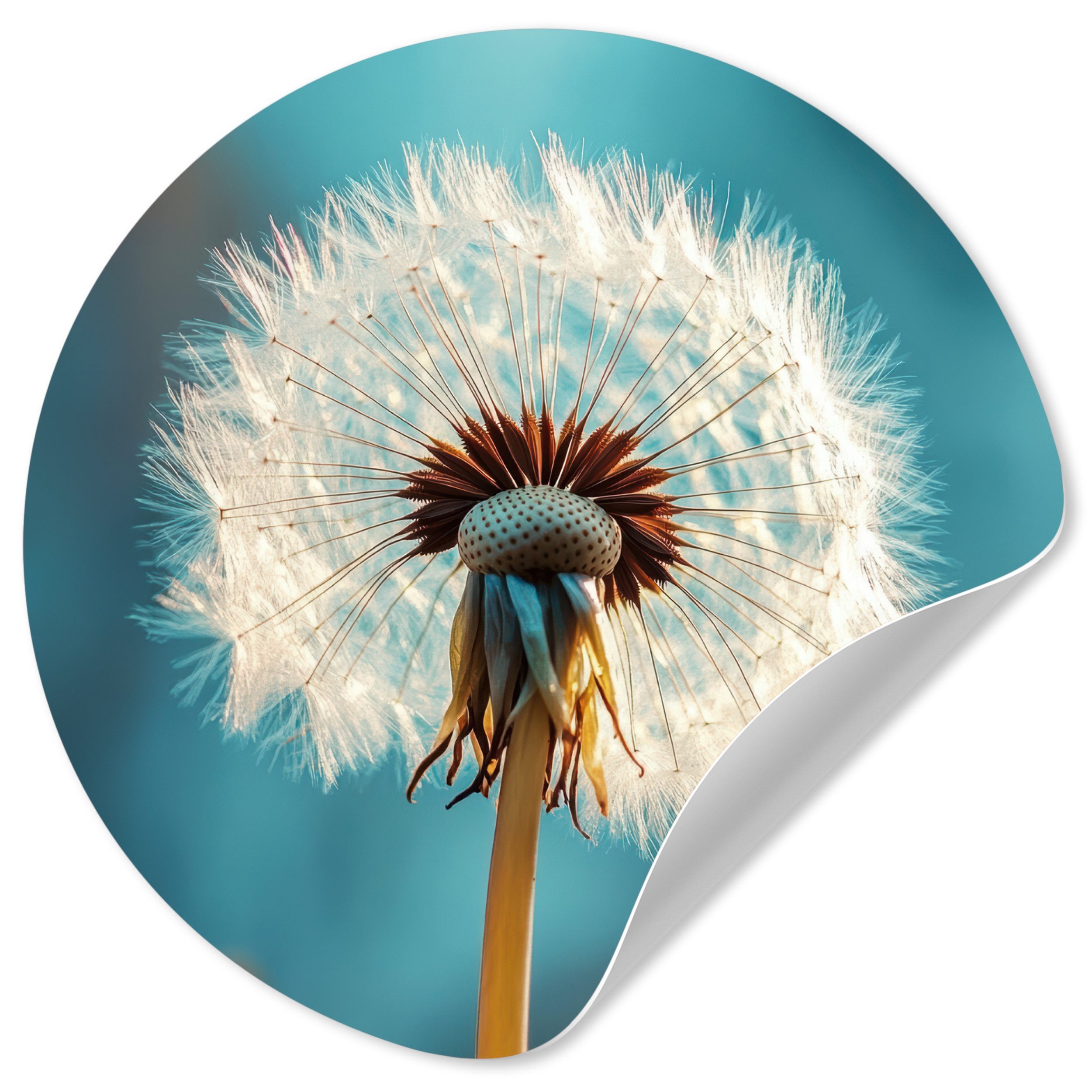 MuchoWow Wandsticker Löwenzahn - Natur - Blumen - Blau (1 St), Wandtattoo Selbstklebend, Wohnzimmer Deko Aufkleber, 30x30 cm