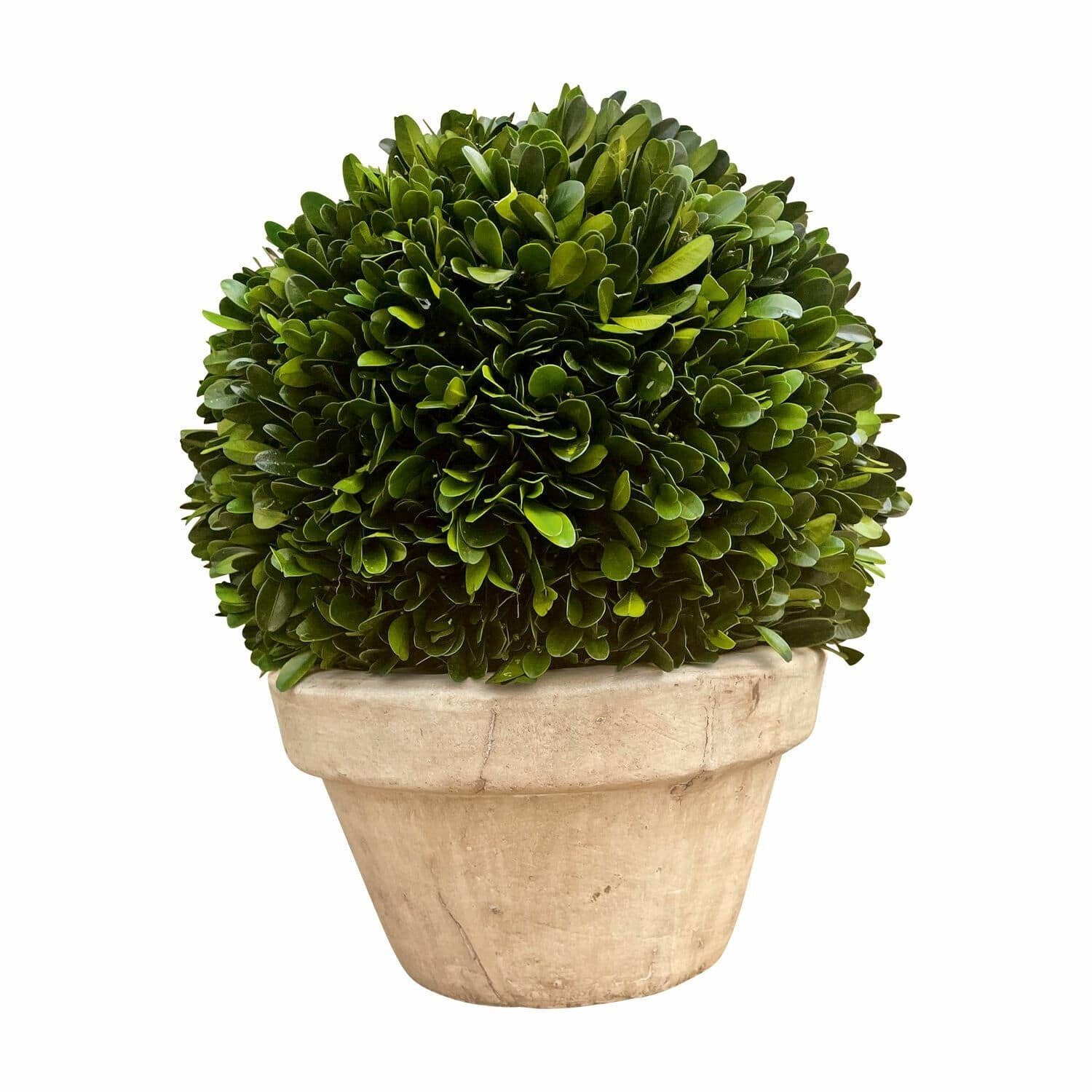 Mirabeau, Kunstblume Höhe Pierry cm Deko-Topfpflanze 27.0 grün/beige,