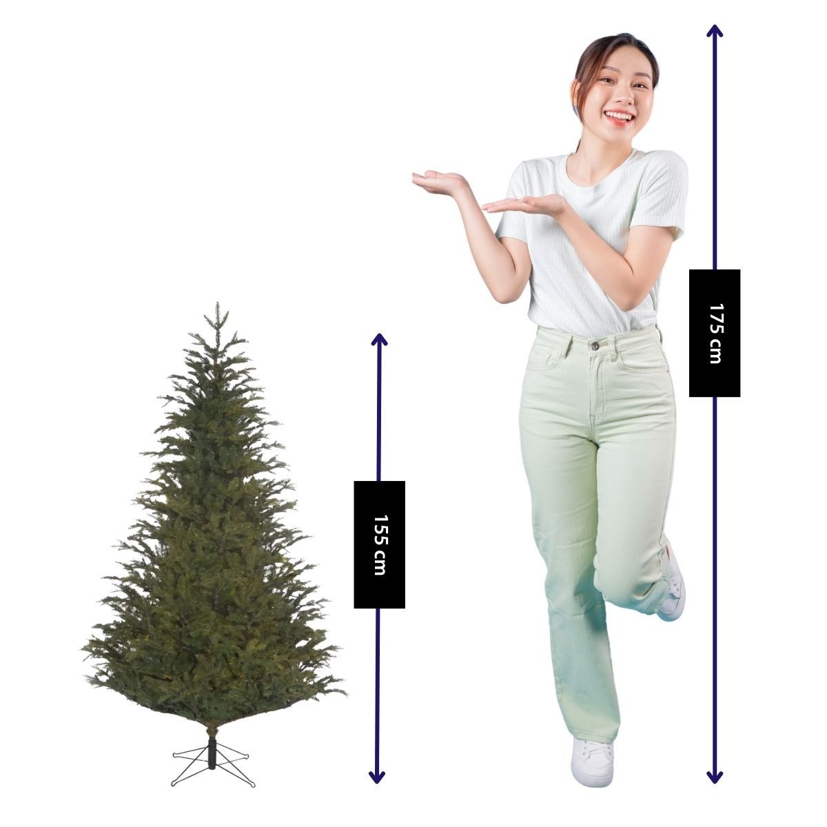 Black Box Trees Künstlicher Weihnachtsbaum Black Box Trees Frasier Weihnachtsbaum gruen TIPS 1298 - h155xd109cm
