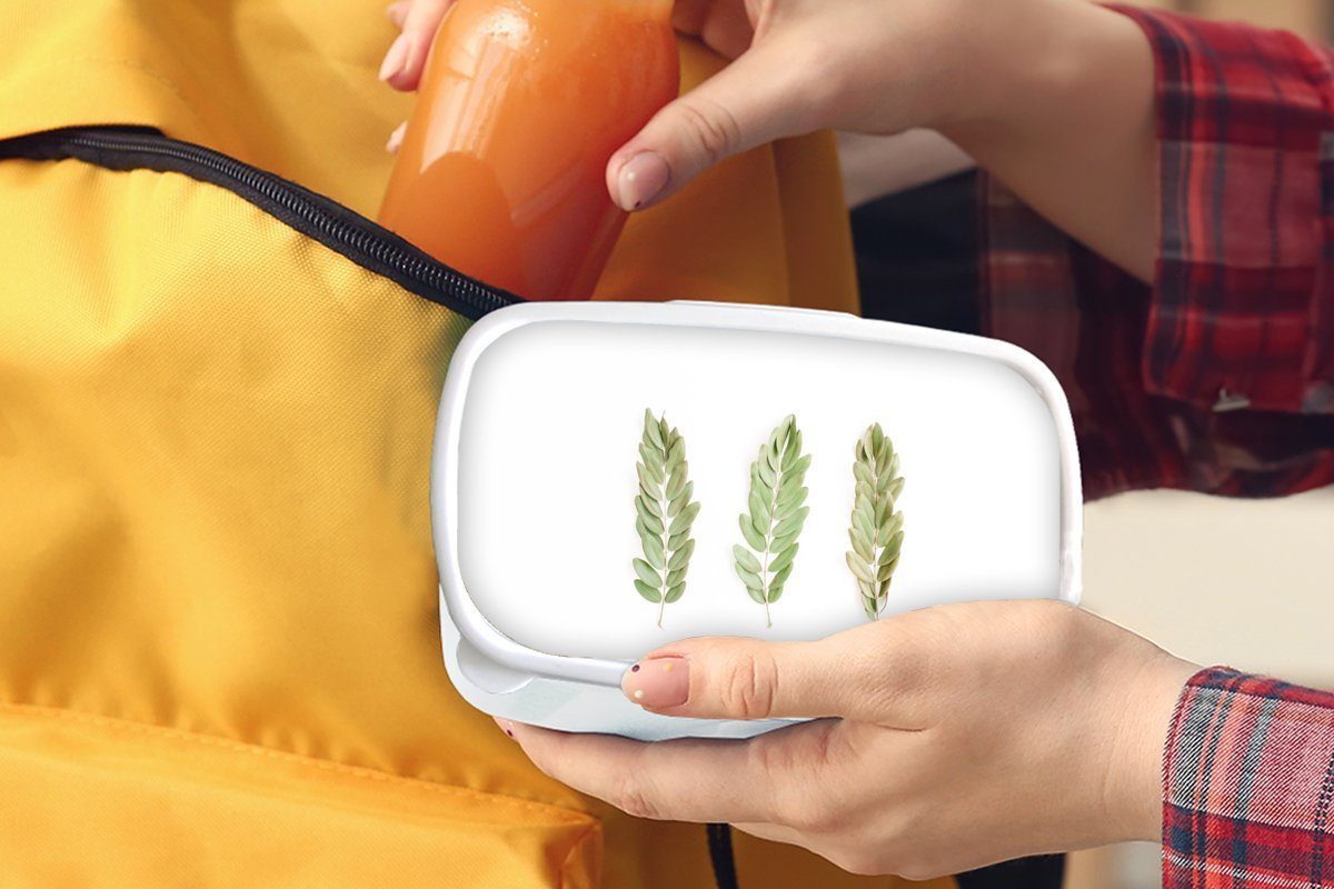 Blatt - Kunststoff, Kinder Lunchbox MuchoWow und - Brotbox Brotdose, (2-tlg), Jungs und für Mädchen Erwachsene, für Weiß, Tropisch