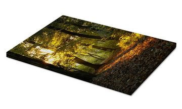 Posterlounge Leinwandbild Editors Choice, Abendzeit in einem Wald, Fotografie