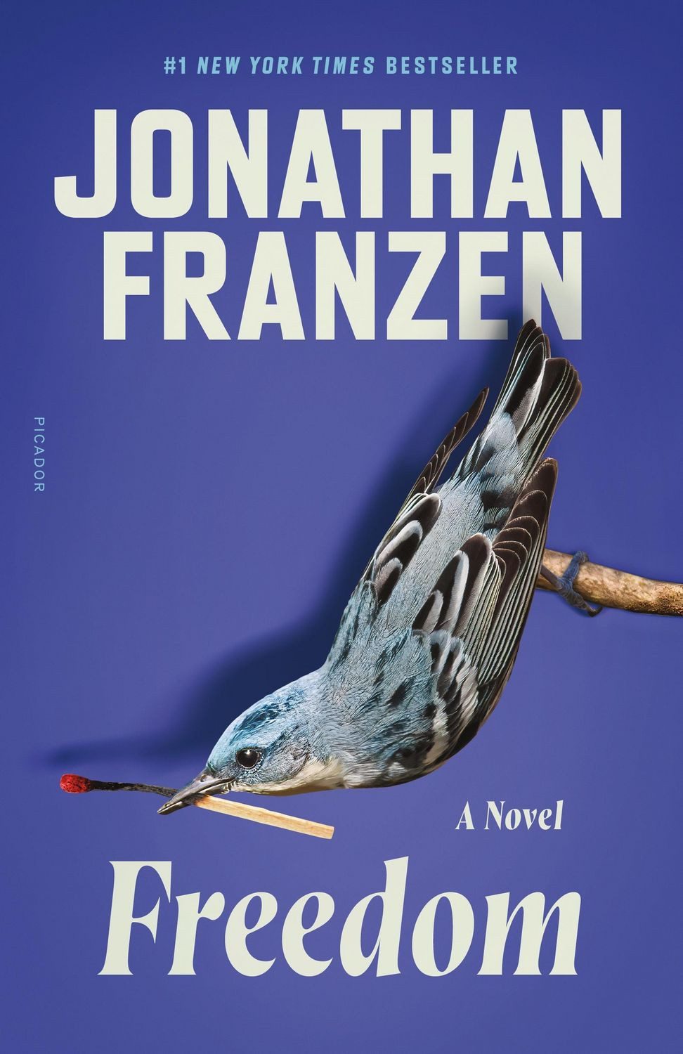 Freedom / Jonathan Franzen