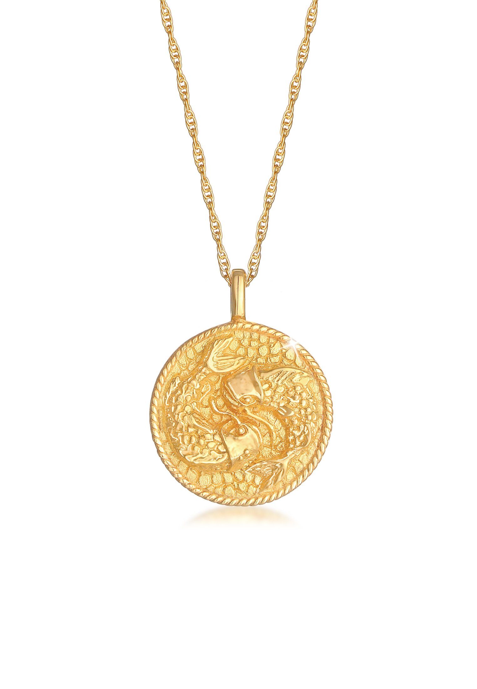 Elli Kette mit Anhänger Sternzeichen Fisch Zodiac Astro Münze 925 Silber, Sternzeichen Gold