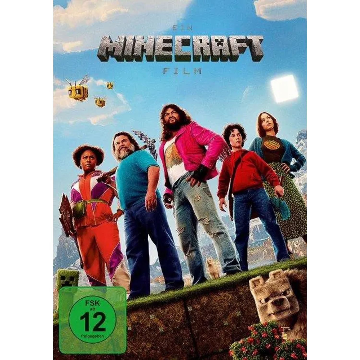 Warner Bros. DVD Ein Minecraft Film