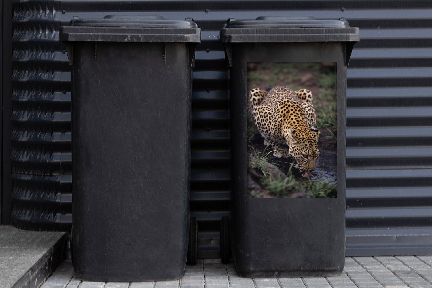 MuchoWow Wandsticker Wasser Abfalbehälter - Sticker, - Mülleimer-aufkleber, St), Leopard Wald Mülltonne, Container, (1