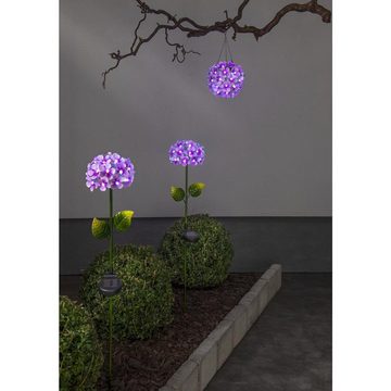 STAR TRADING LED Solarleuchte LED Gartenleuchte Solarstab Hortensie Gartendeko pink 77cm Lichtsensor, LED Classic, kaltweiss (5300K bis 6000K)