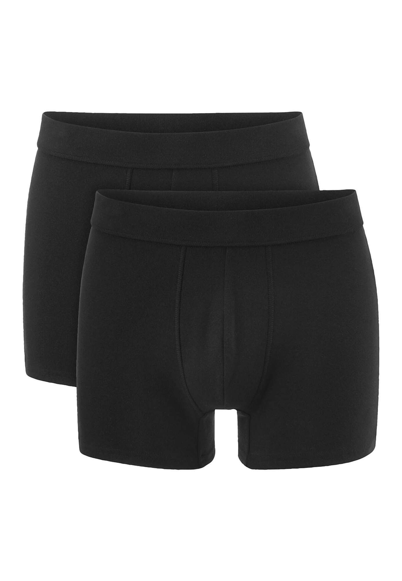 Hessnatur Boxershorts Regular Cut PURE NATURE aus reiner Bio-Baumwolle (1-St)