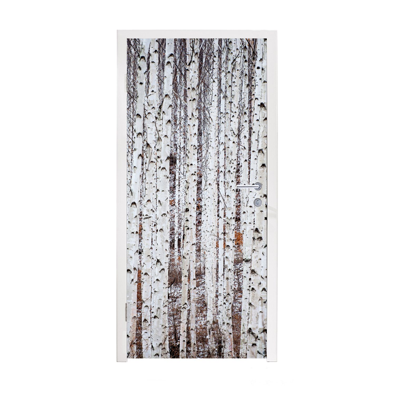 Türtapete in Matt, St), schwarze cm Tür, einem bedruckt, MuchoWow Türaufkleber, weiße 75x205 für Mehrere Wald, und (1 Fototapete Baumstämme
