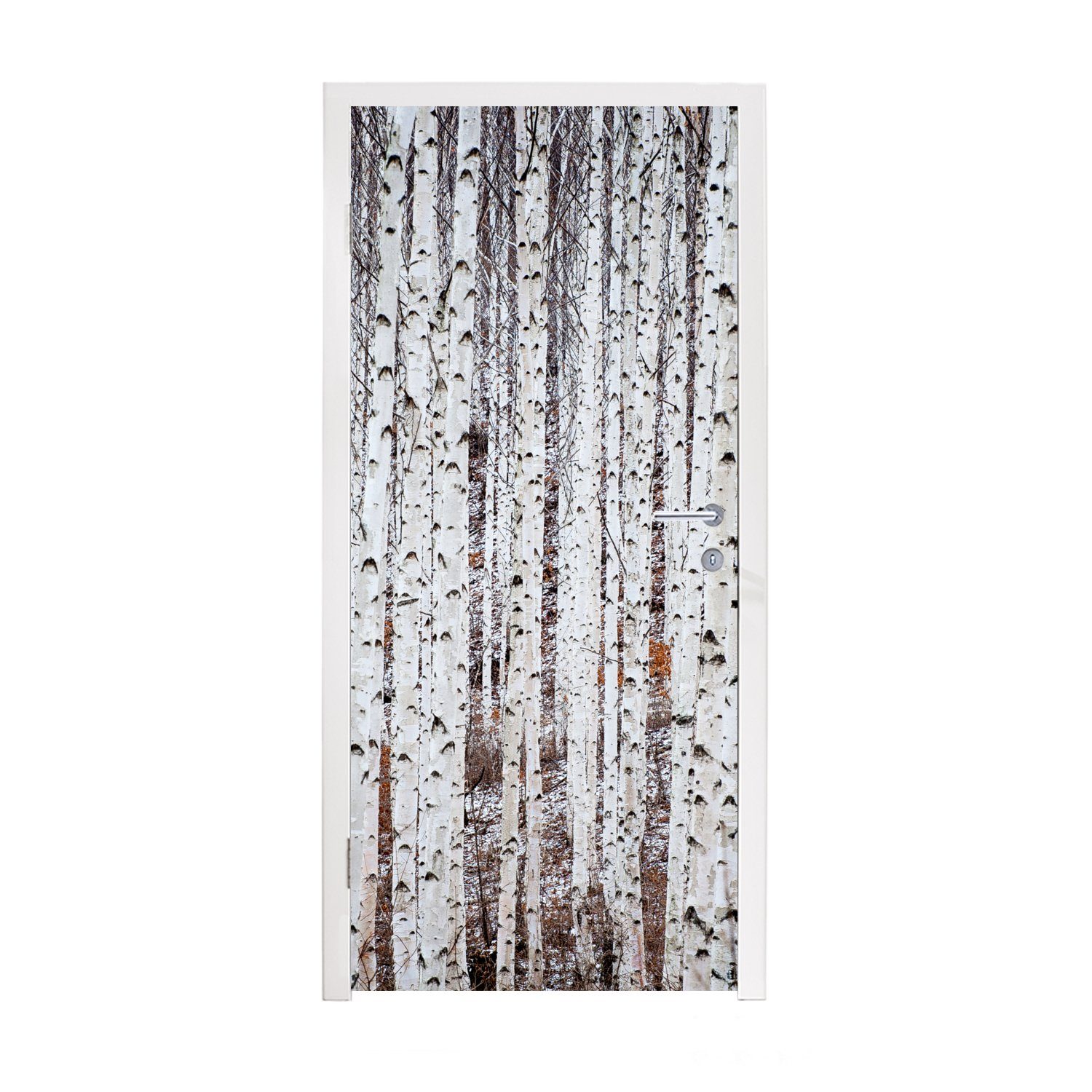MuchoWow Türtapete Mehrere schwarze und weiße Baumstämme in einem Wald, Matt, bedruckt, (1 St), Selbstklebende Tapete, Folie für Möbel, 75x205 cm