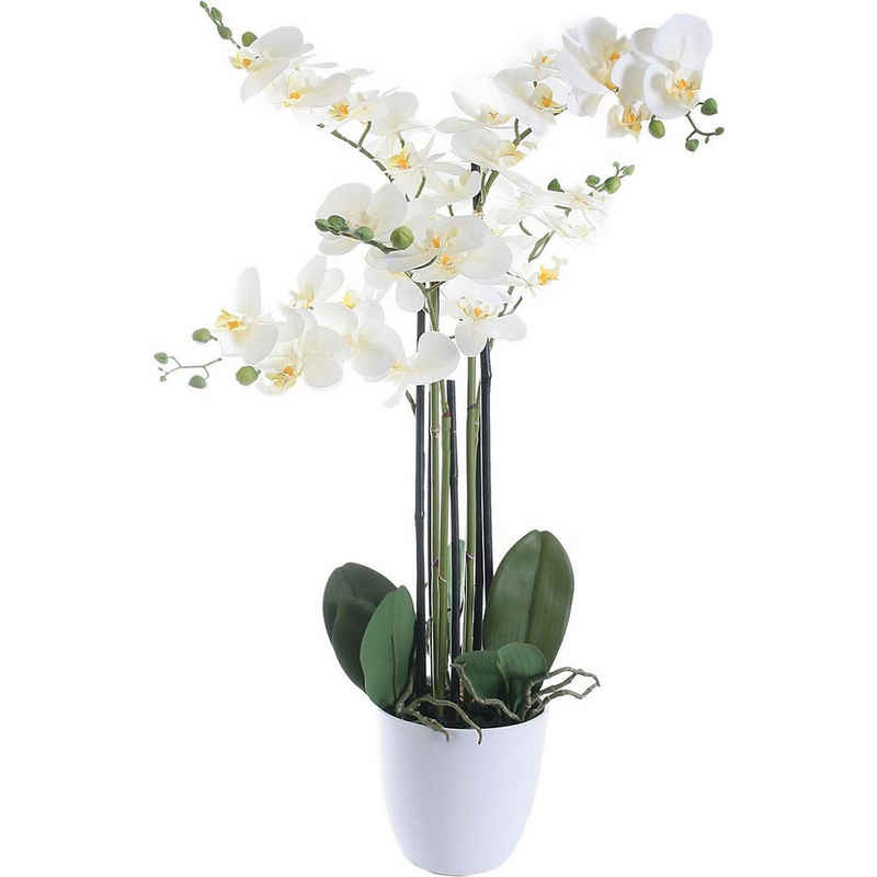 Kunstblume »Kunstblume "Orchidee" im weißen Übertopf, 80cm«, Tawo