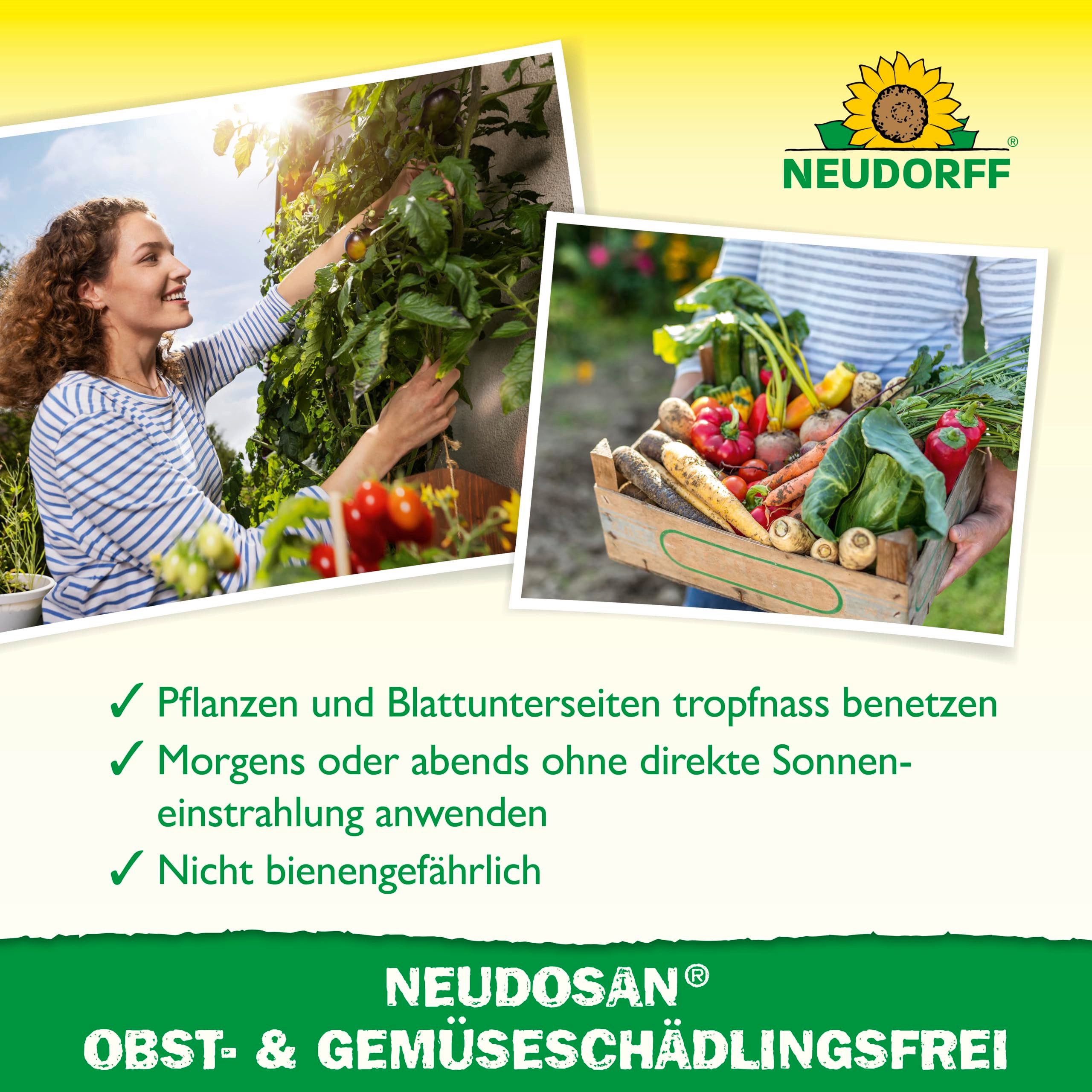 Neudorff Insektenspray Neudosan Obst- & GemüseSchädlingsFrei 250 ml, 0.25 l, Bekämpft saugende Insekten wie Blattläuse, Weiße Fliegen und Spinnmilben an Obst und Gemüse