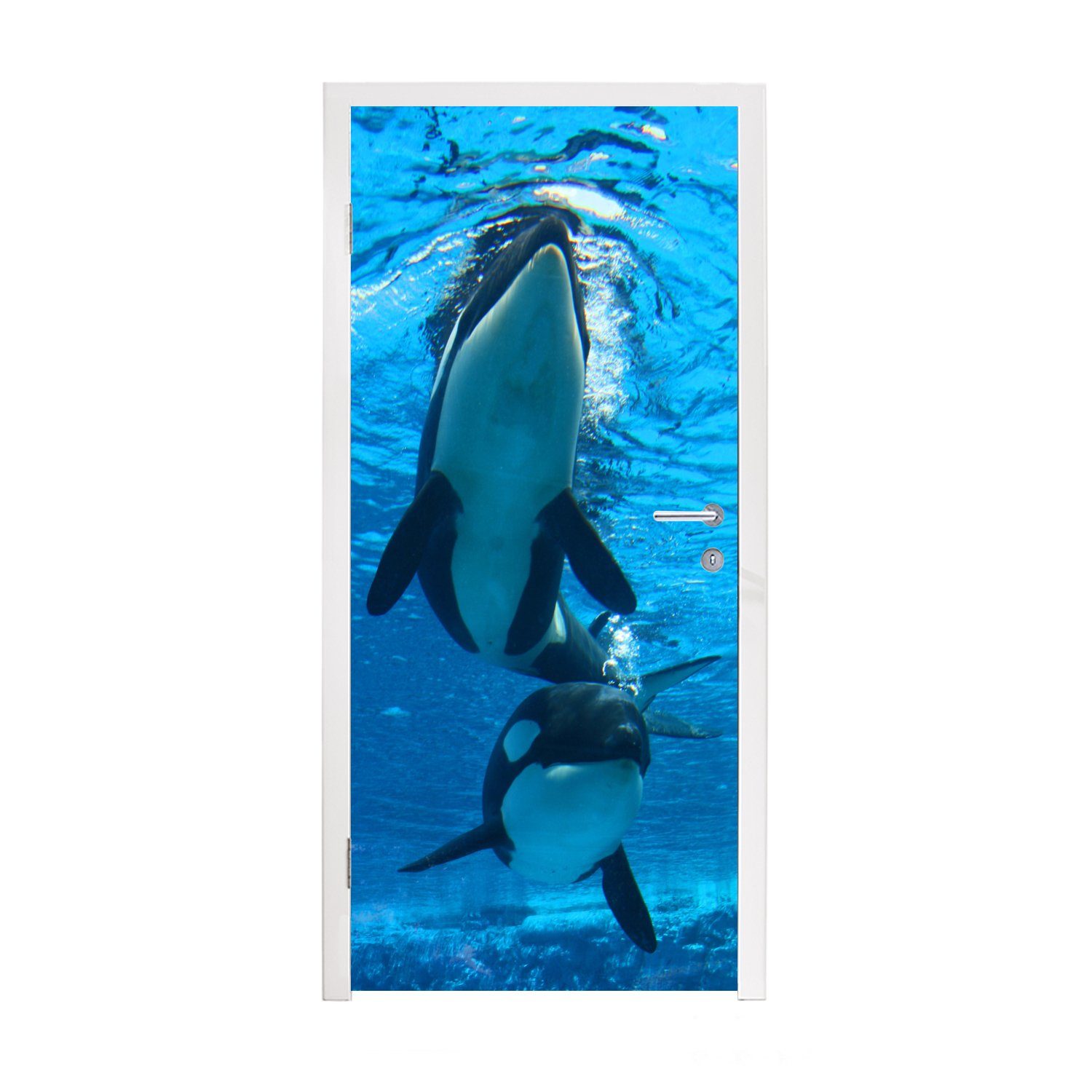 MuchoWow Türtapete Zwei Orcas unter Wasser, Matt, bedruckt, (1 St), Fototapete für Tür, Türaufkleber, 75x205 cm