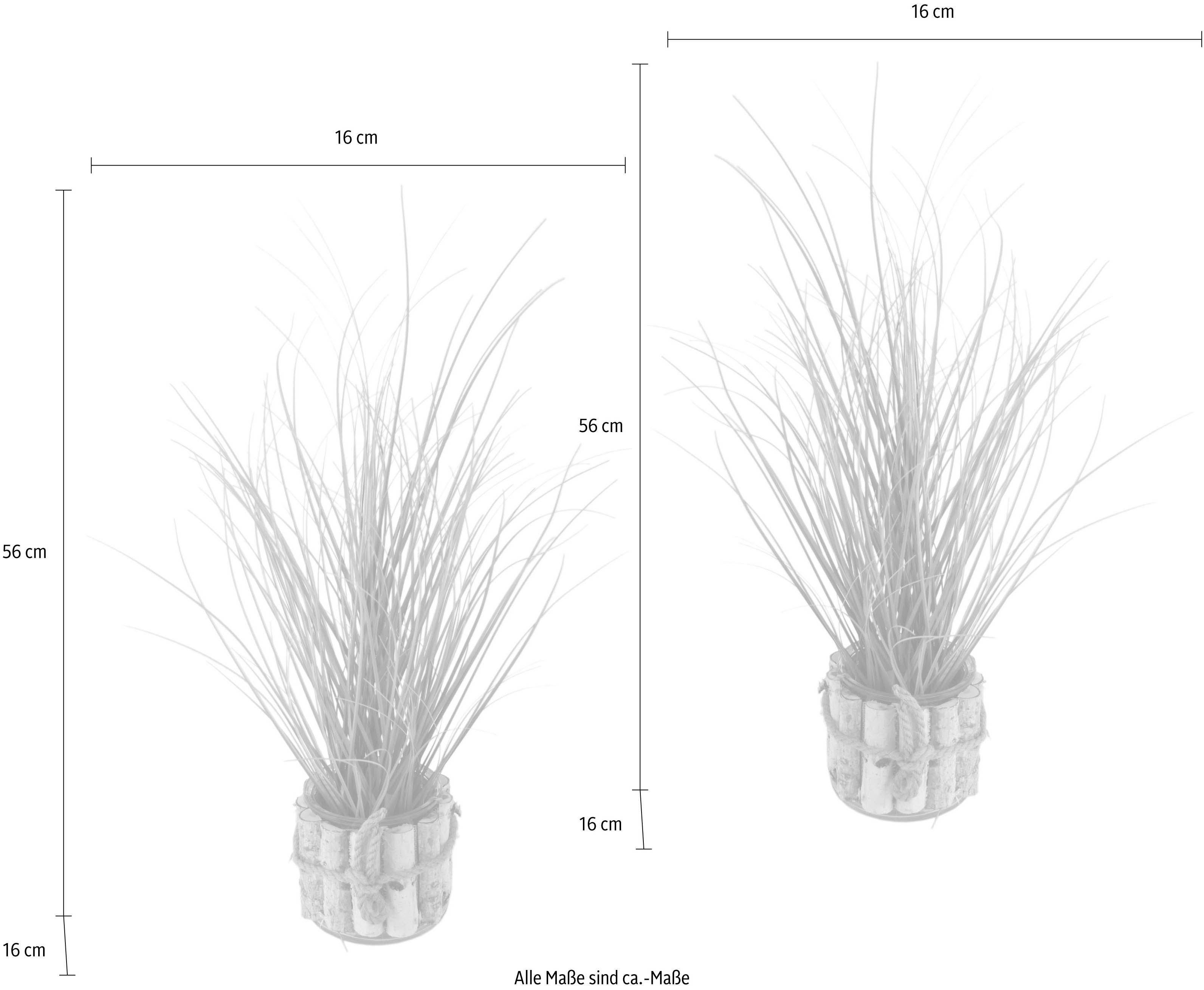 Kunstpflanze Gras, I.GE.A., Höhe 56 cm