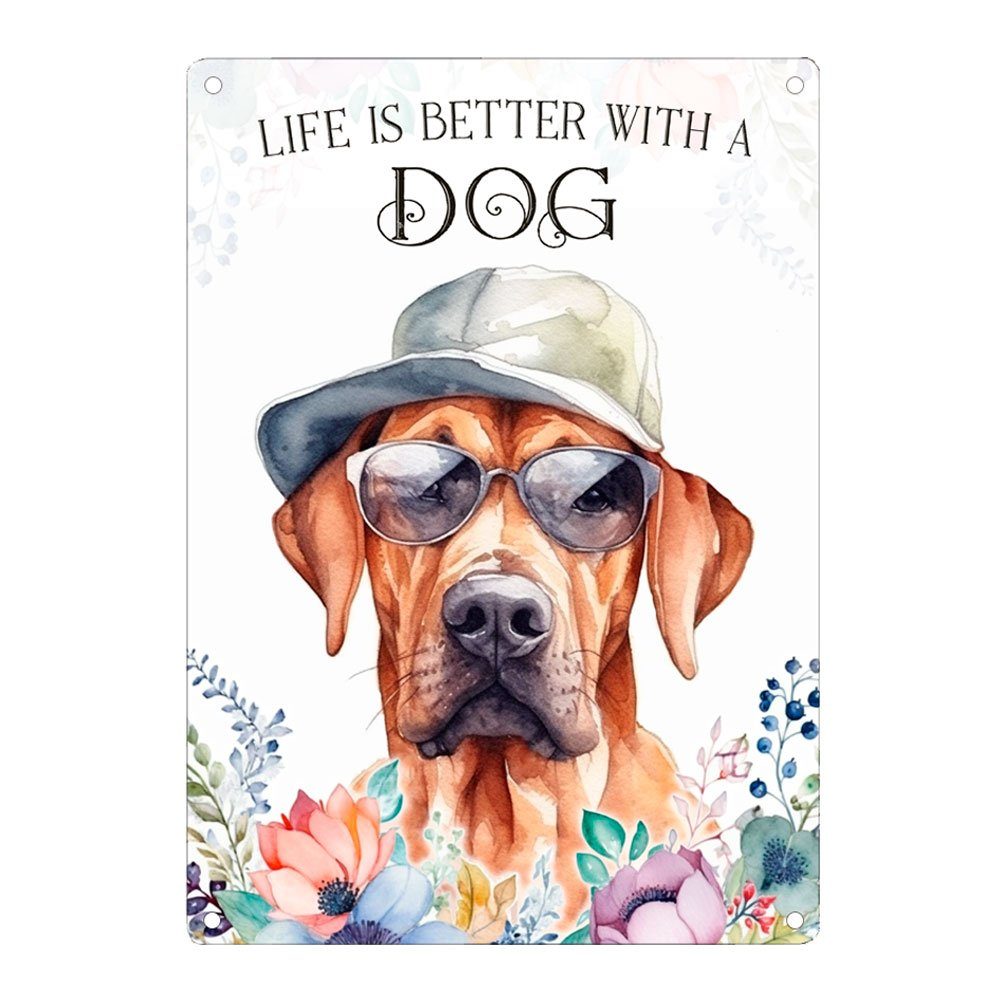 Metallschild Hundeschild RHODESIAN RIDGEBACK - Dekoschild mit Hunderasse, Geschenk