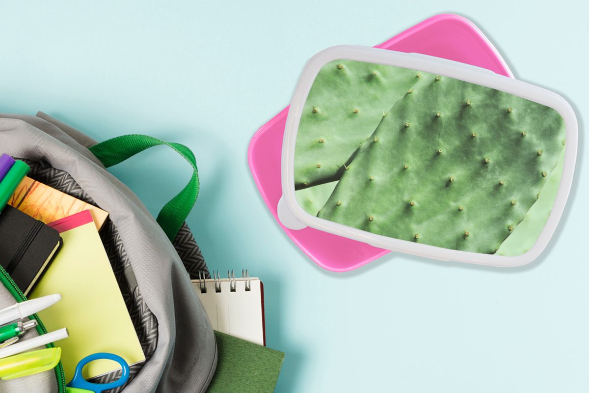Erwachsene, Brotdose Kunststoff rosa für (2-tlg), Snackbox, Barbary Minze Kaktus grün, Lunchbox Mädchen, Kinder, Kunststoff, Brotbox Blatt MuchoWow